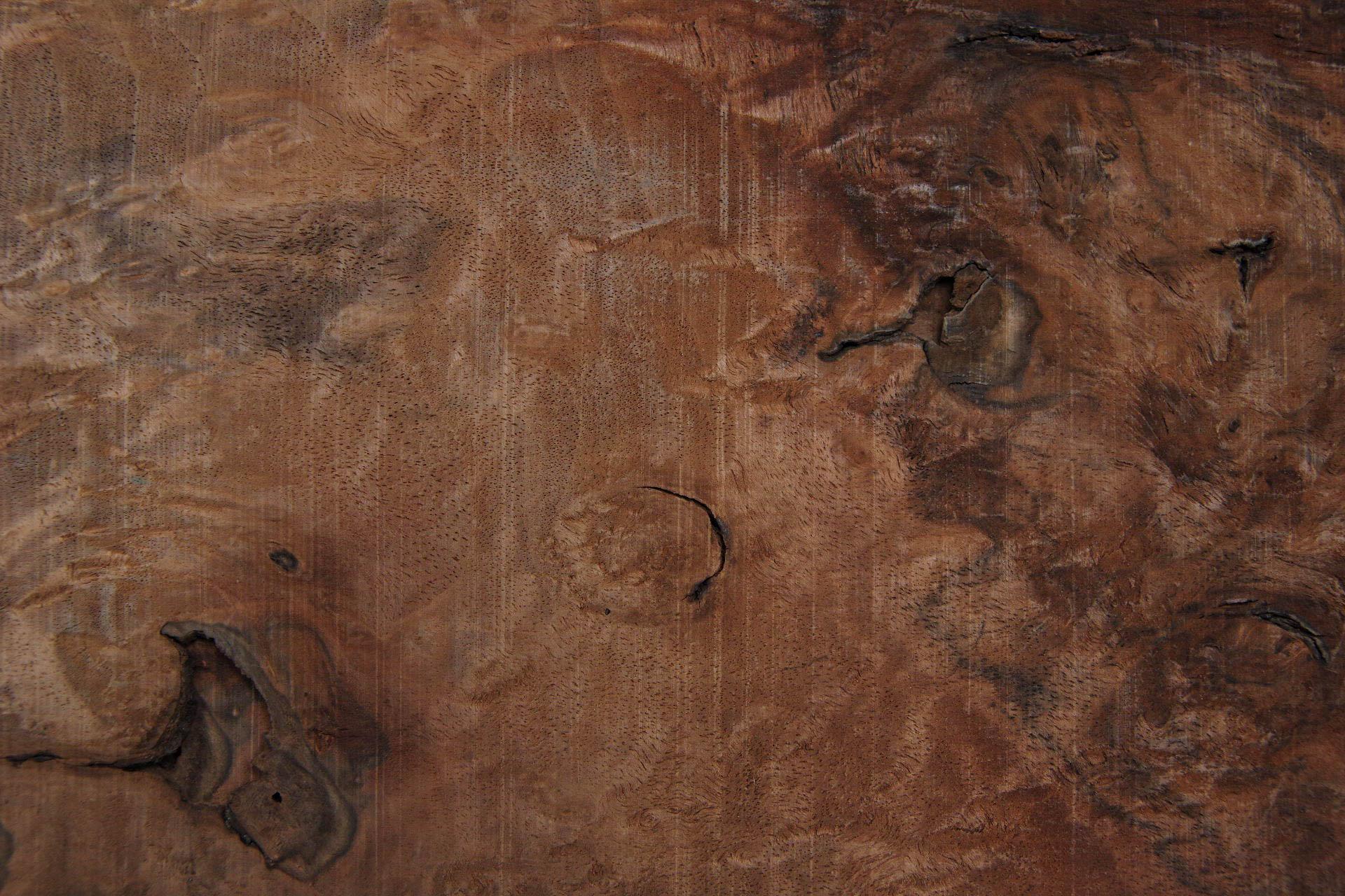 Californian Walnut Burl, - veneer (1,8mm) - 0,4m² (10pcs. x 20cm x 20cm)