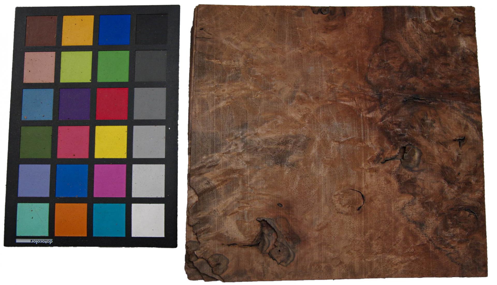 Californian Walnut Burl, - veneer (1,8mm) - 0,4m² (10pcs. x 20cm x 20cm)