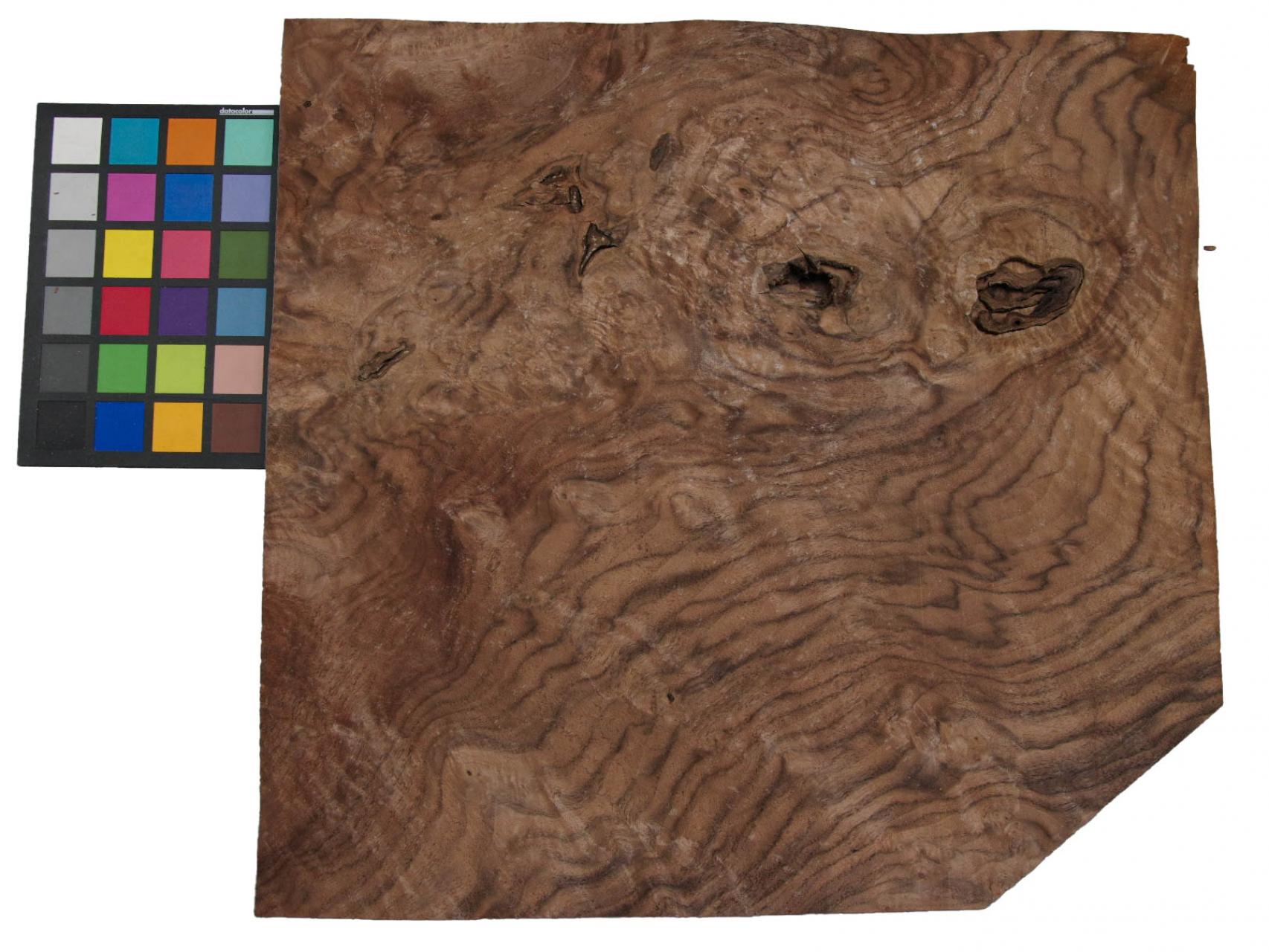 Californian Walnut Burl, - veneer (1,8mm) - 1,16m² (6pcs. x 45cm x 43cm)