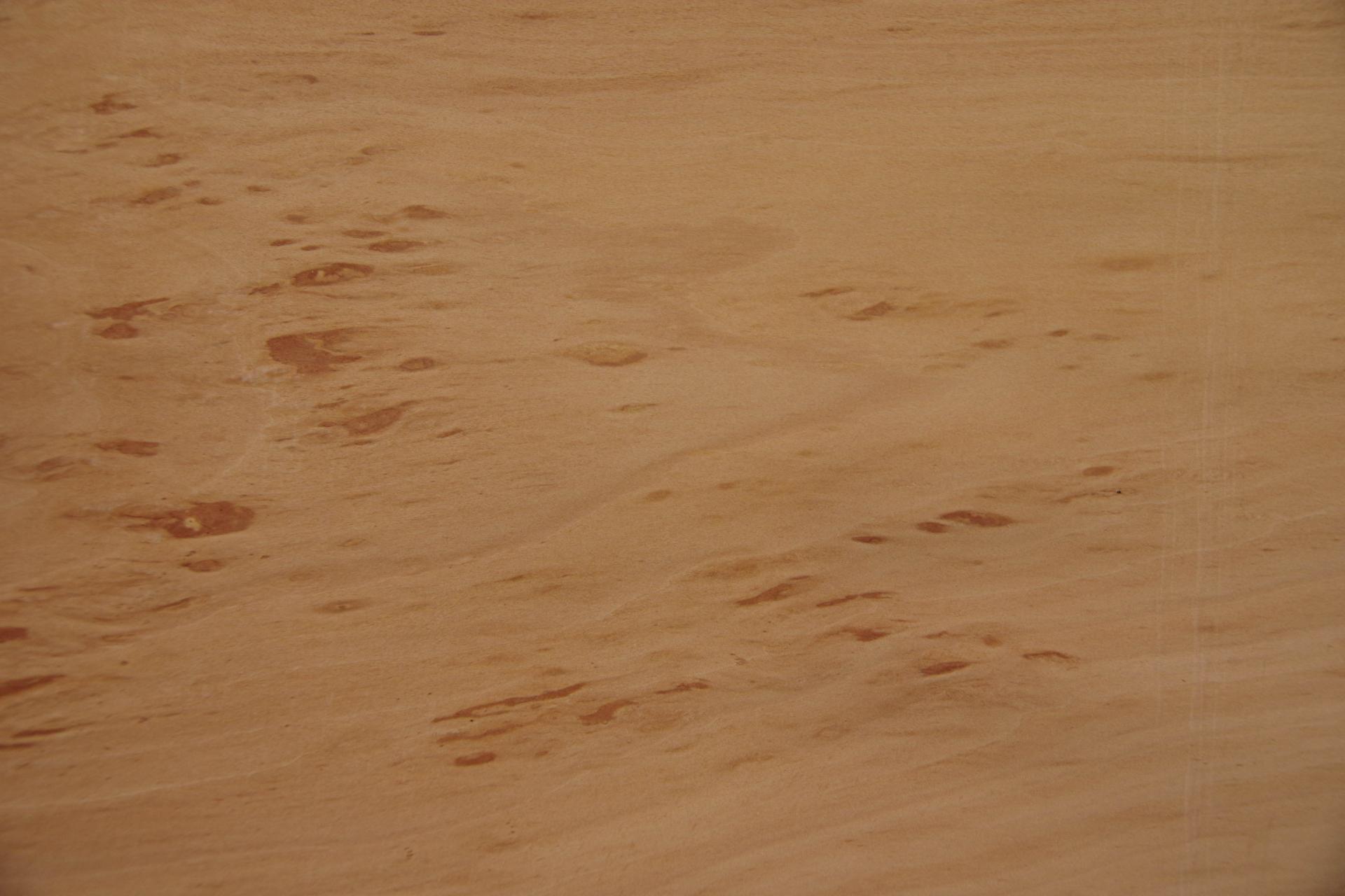 Swiss Pear, - veneer (0,6mm) - 9,81m² (24pcs. x 141cm x 29cm)