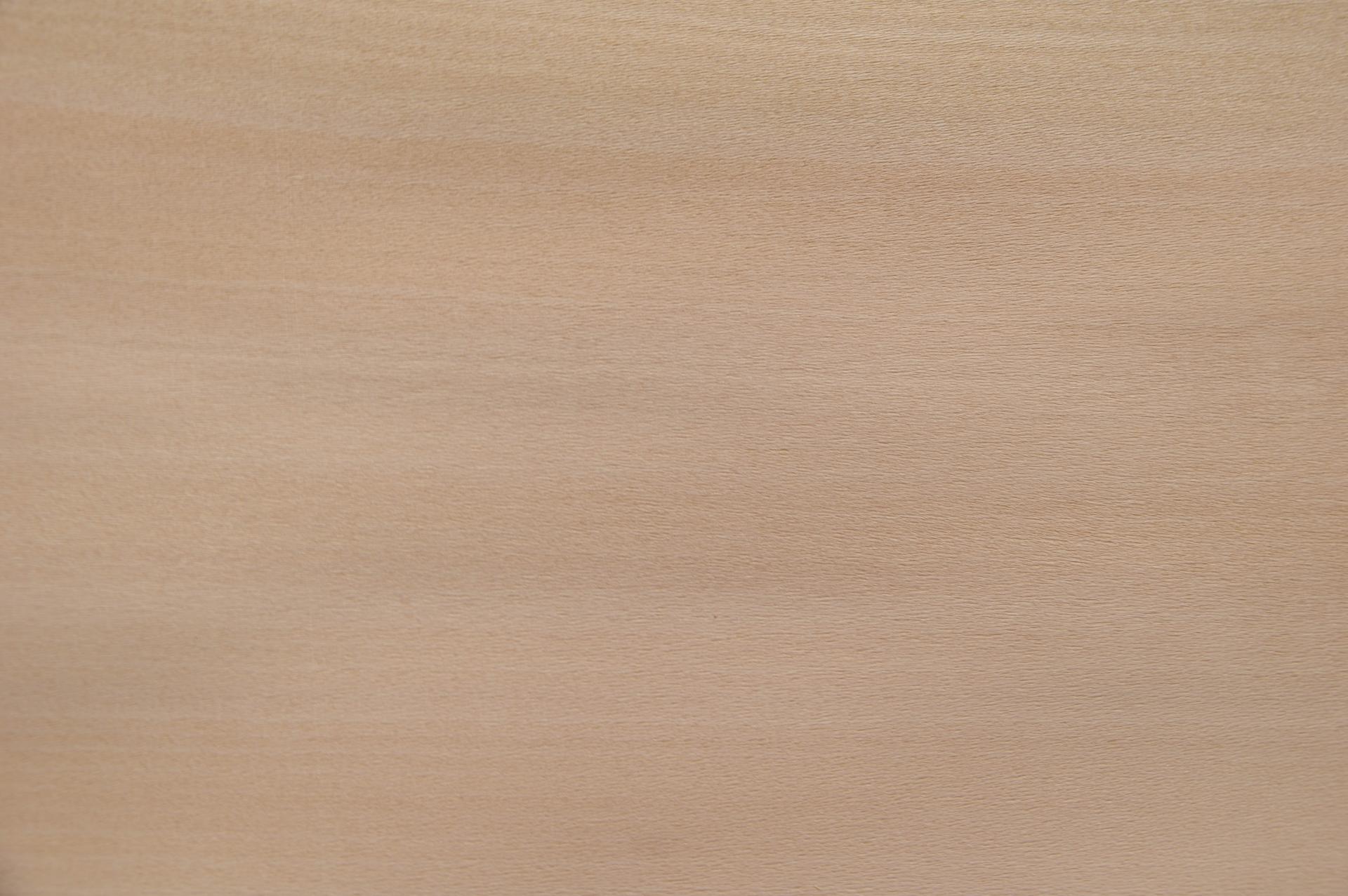 0.6mm Platane Furnier 2.53m² K 23 58 19