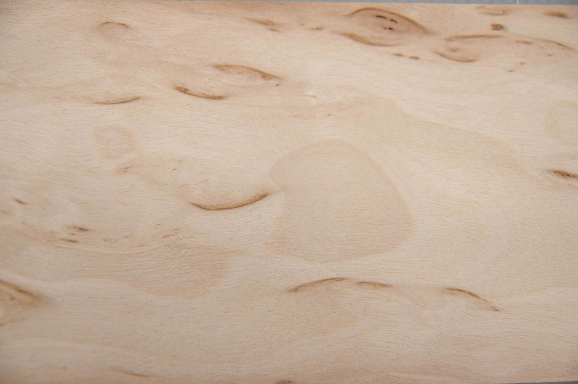 Birke Maser -Furnier (0,6mm) - 0,11m² (8Stk. x 18cm x 7,5cm)