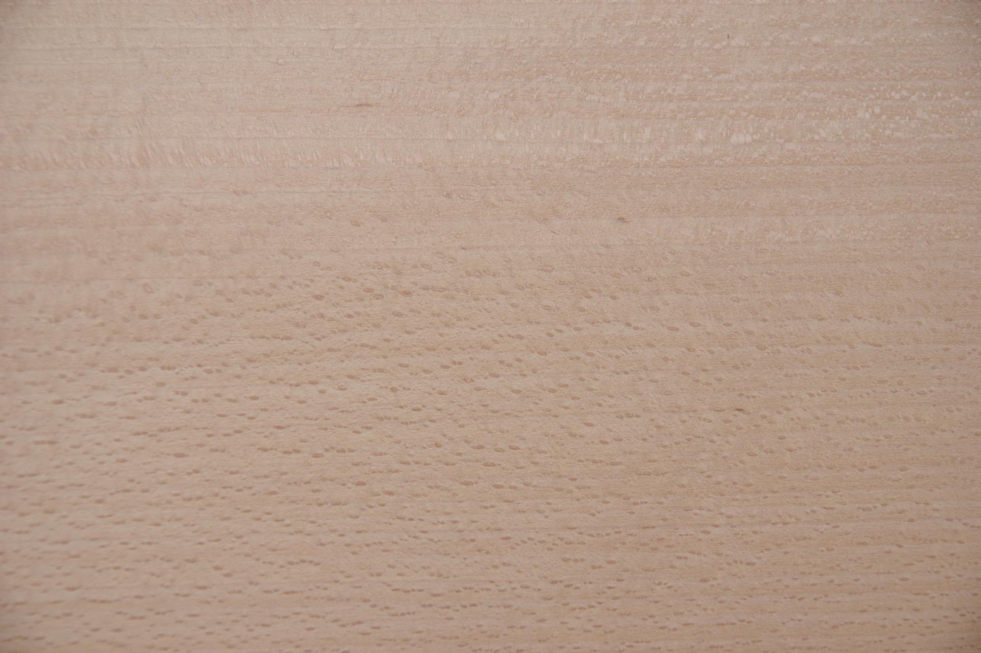 Beech, - veneer (0,6mm) - 2,46m² (16pcs. x 106cm x 14,5cm)