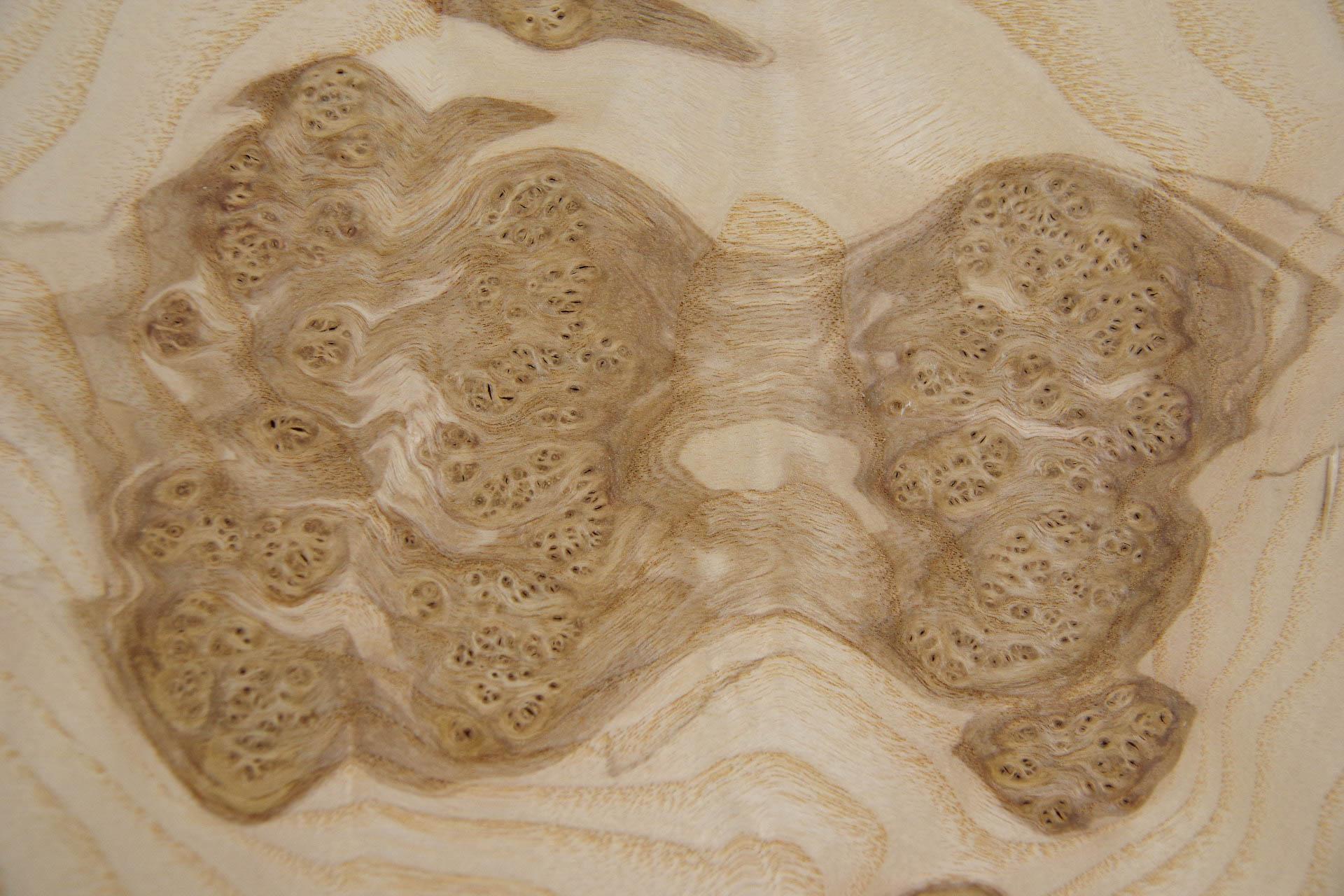 Olive Ash Burl, - veneer (0,6mm) - 1,6m² (8pcs. x 77cm x 26cm)