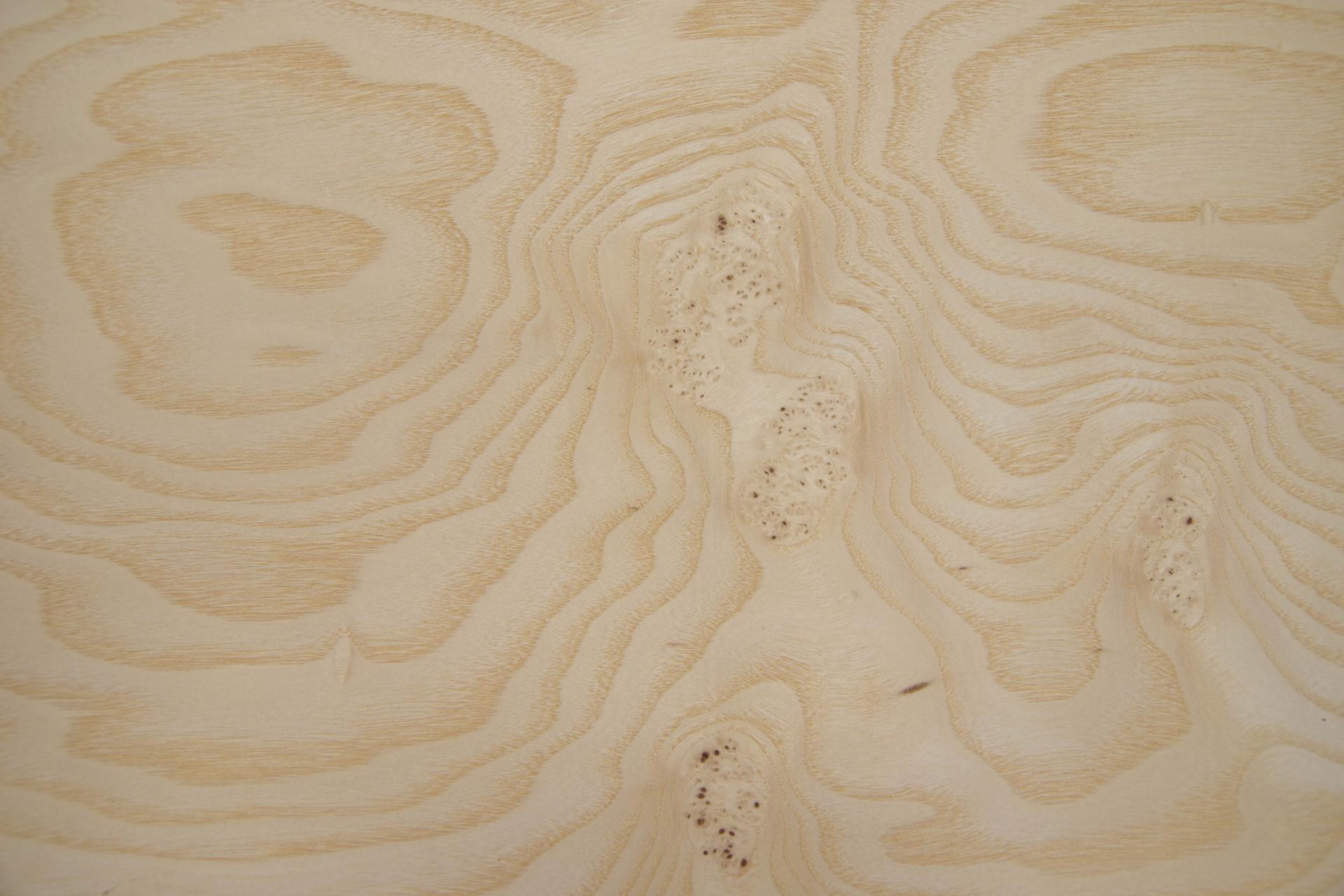 Olive Ash Burl, - veneer (0,6mm) - 5,53m² (11pcs. x 75cm x 67cm)