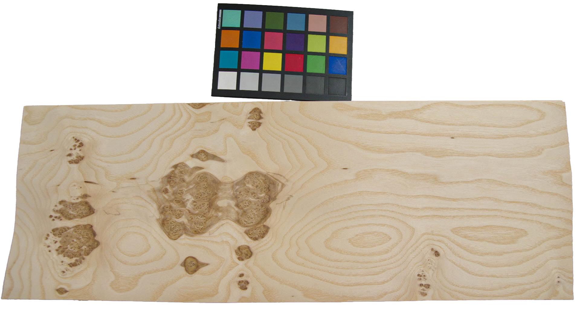 Olive Ash Burl, - veneer (0,6mm) - 1,6m² (8pcs. x 77cm x 26cm)
