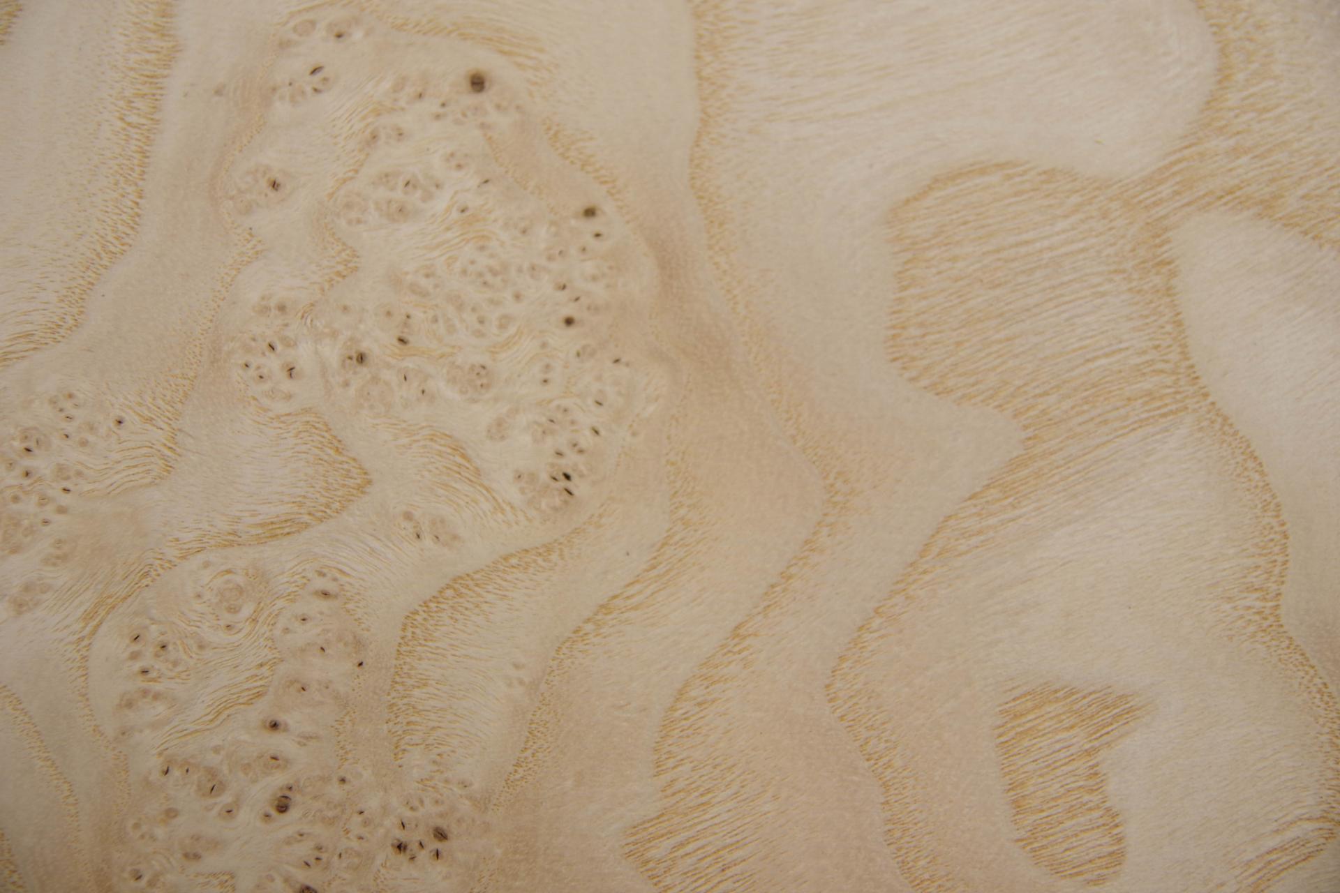 Esche Maser, weiß -Furnier (0,6mm) - 0,17m² (6Stk. x 26cm x 11cm)