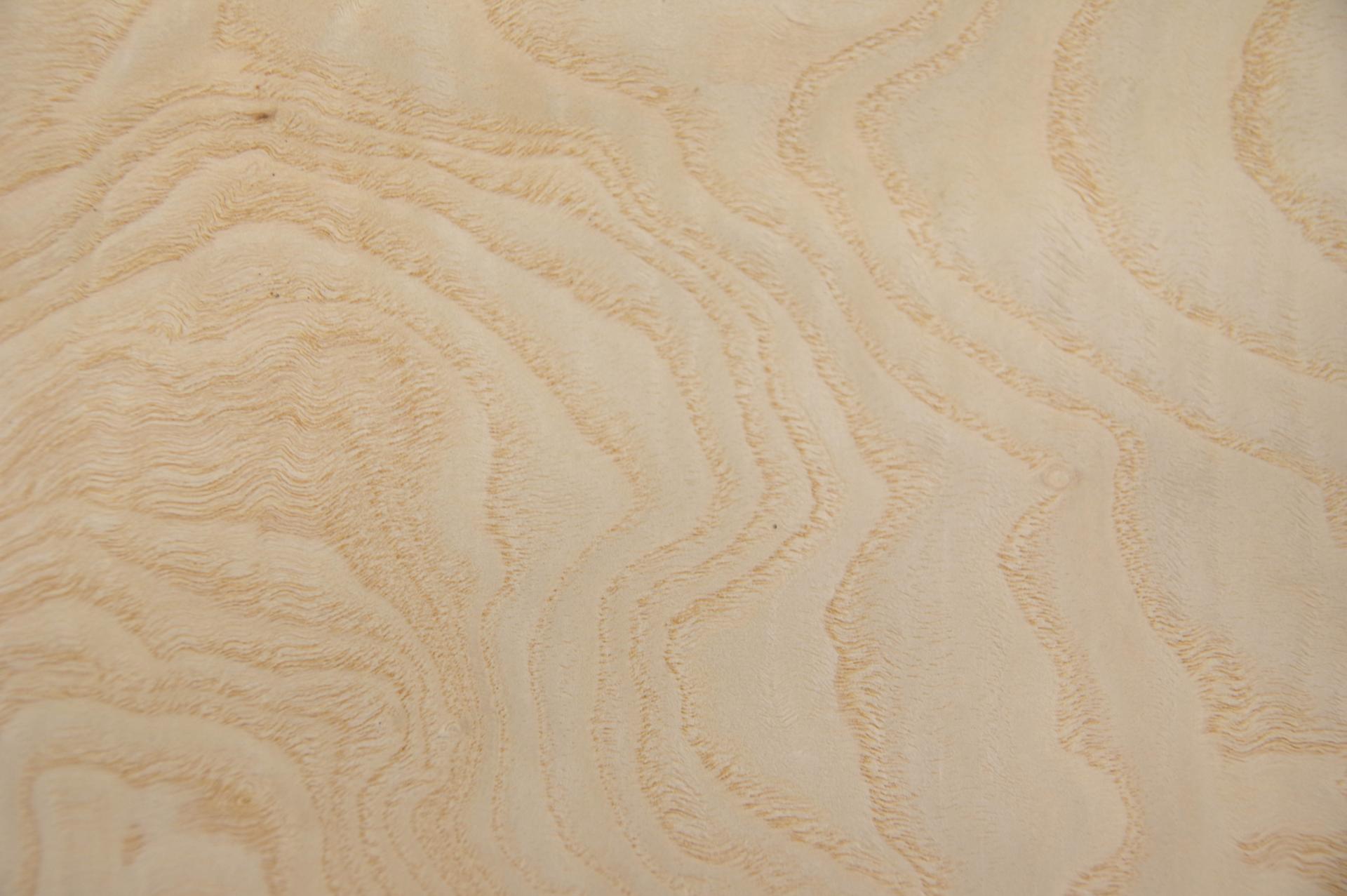 Esche Maser, weiß -Furnier (0,6mm) - 0,8m² (24Stk. x 29cm x 11,5cm)