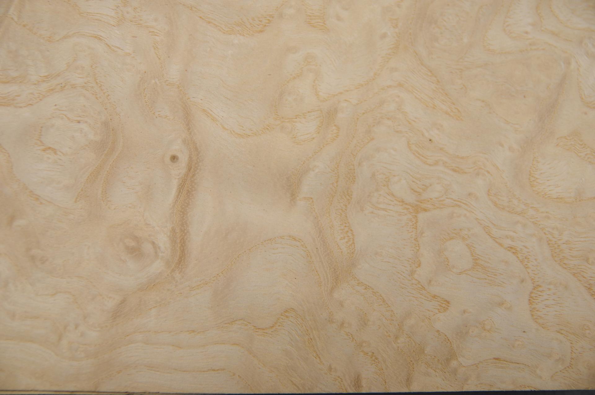 Esche Maser, weiß -Furnier (0,6mm) - 0,29m² (18Stk. x 16cm x 10cm)