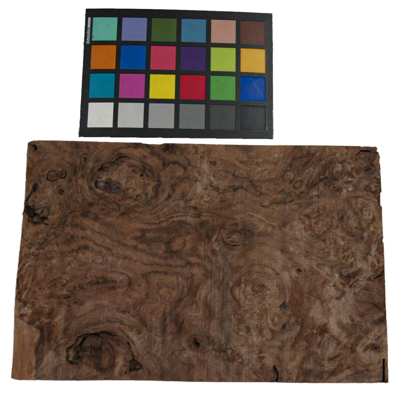 Californian Walnut Burl, - veneer (1,5mm) - 0,87m² (12pcs. x 33cm x 22cm)