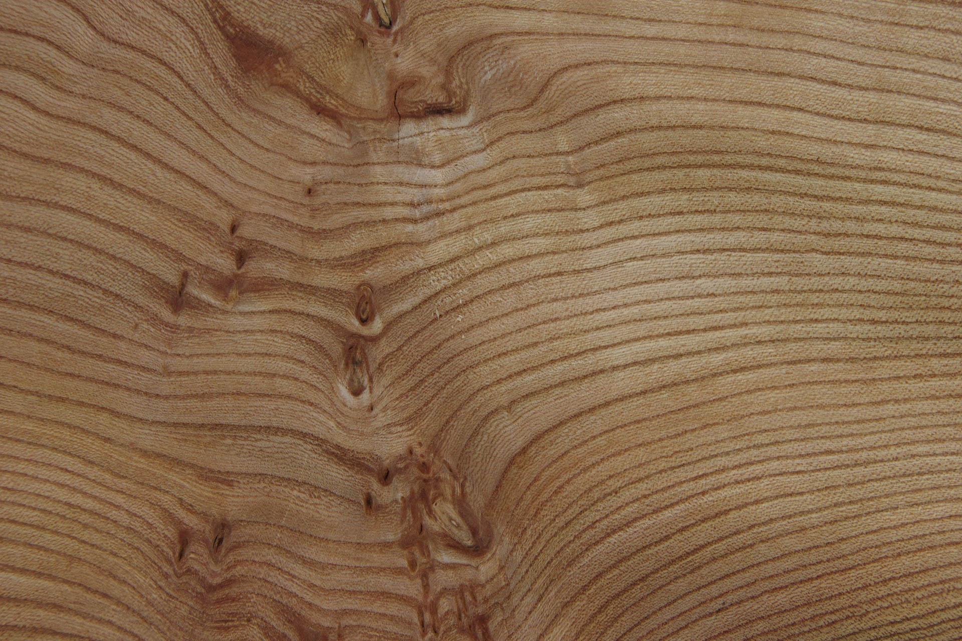 Elm partial Burl, veneer