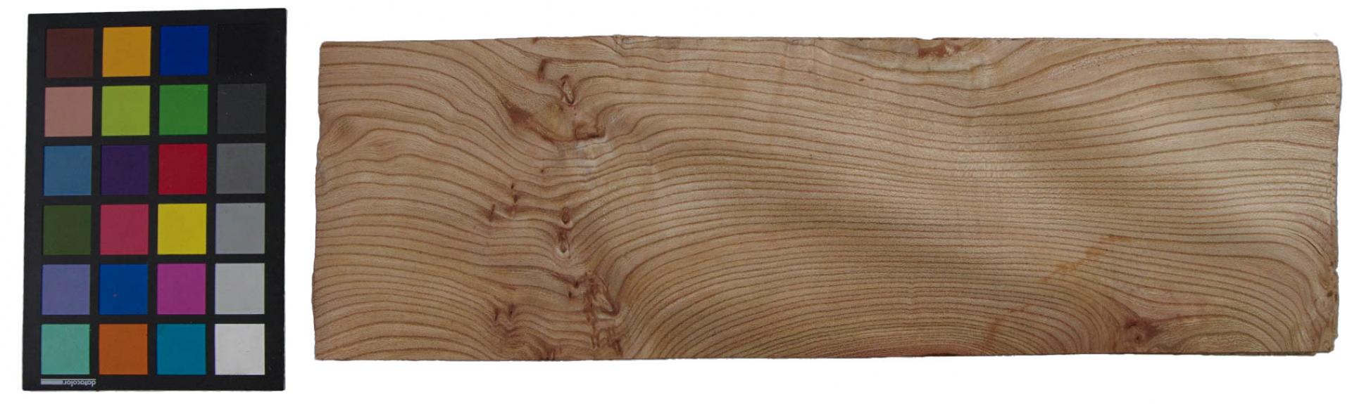 Elm partial Burl, veneer with Colour reference card