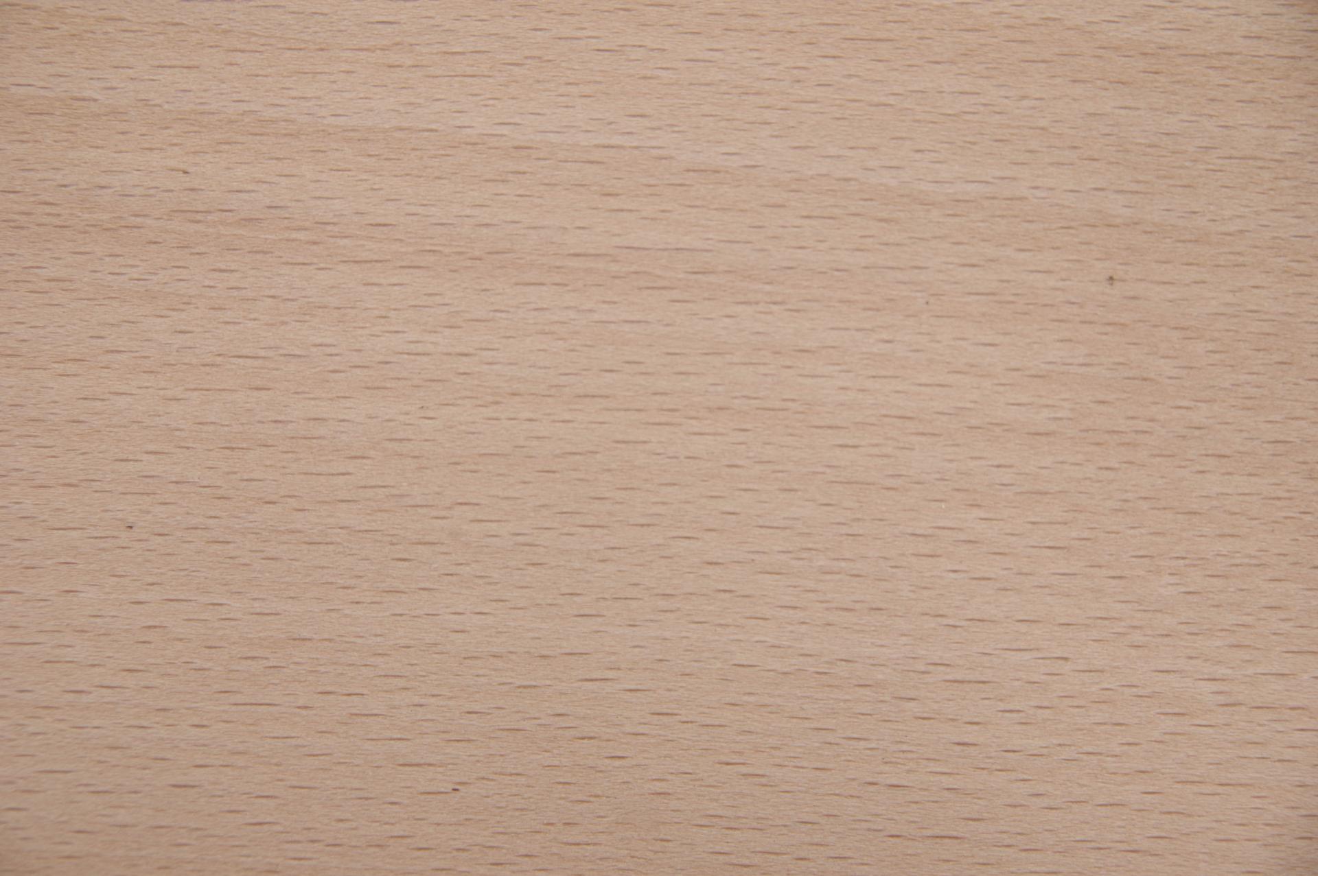 Beech, - veneer (0,6mm) - 3,06m² (32pcs. x 87cm x 11cm)