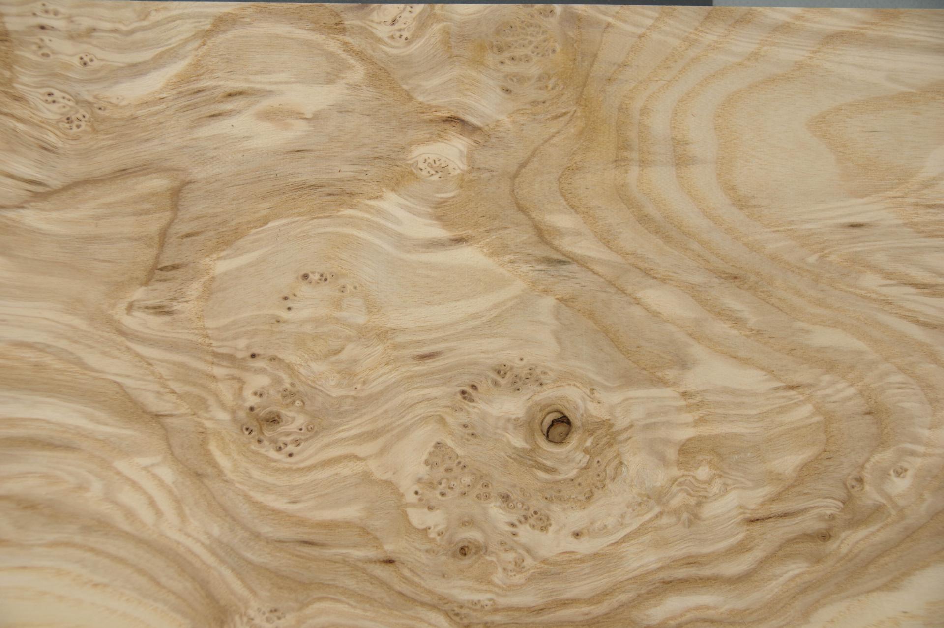 Olive Ash Burl, - veneer (0,6mm) - 1,63m² (16pcs. x 51cm x 20cm)