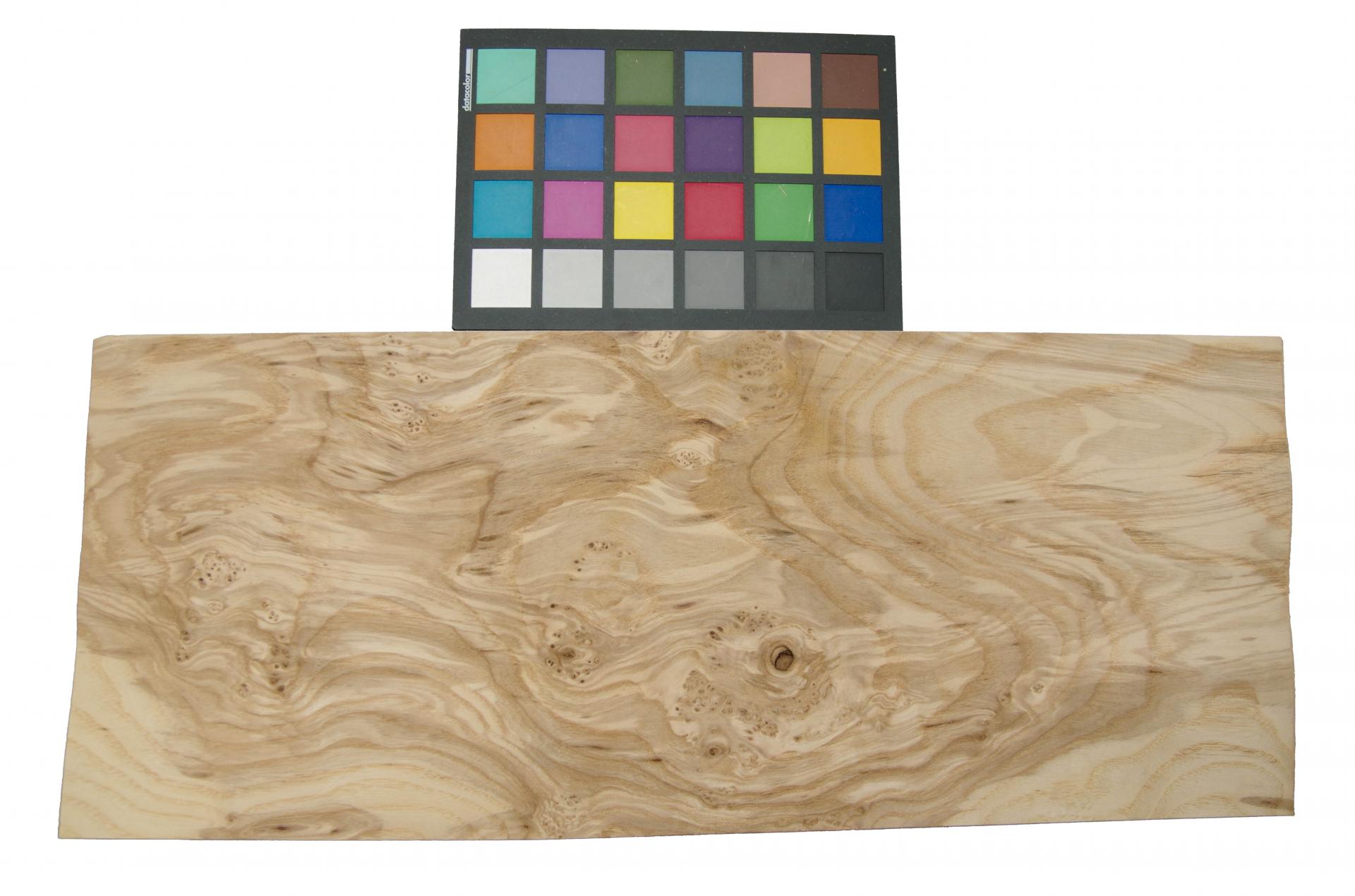Olive Ash Burl, - veneer (0,6mm) - 1,63m² (16pcs. x 51cm x 20cm)