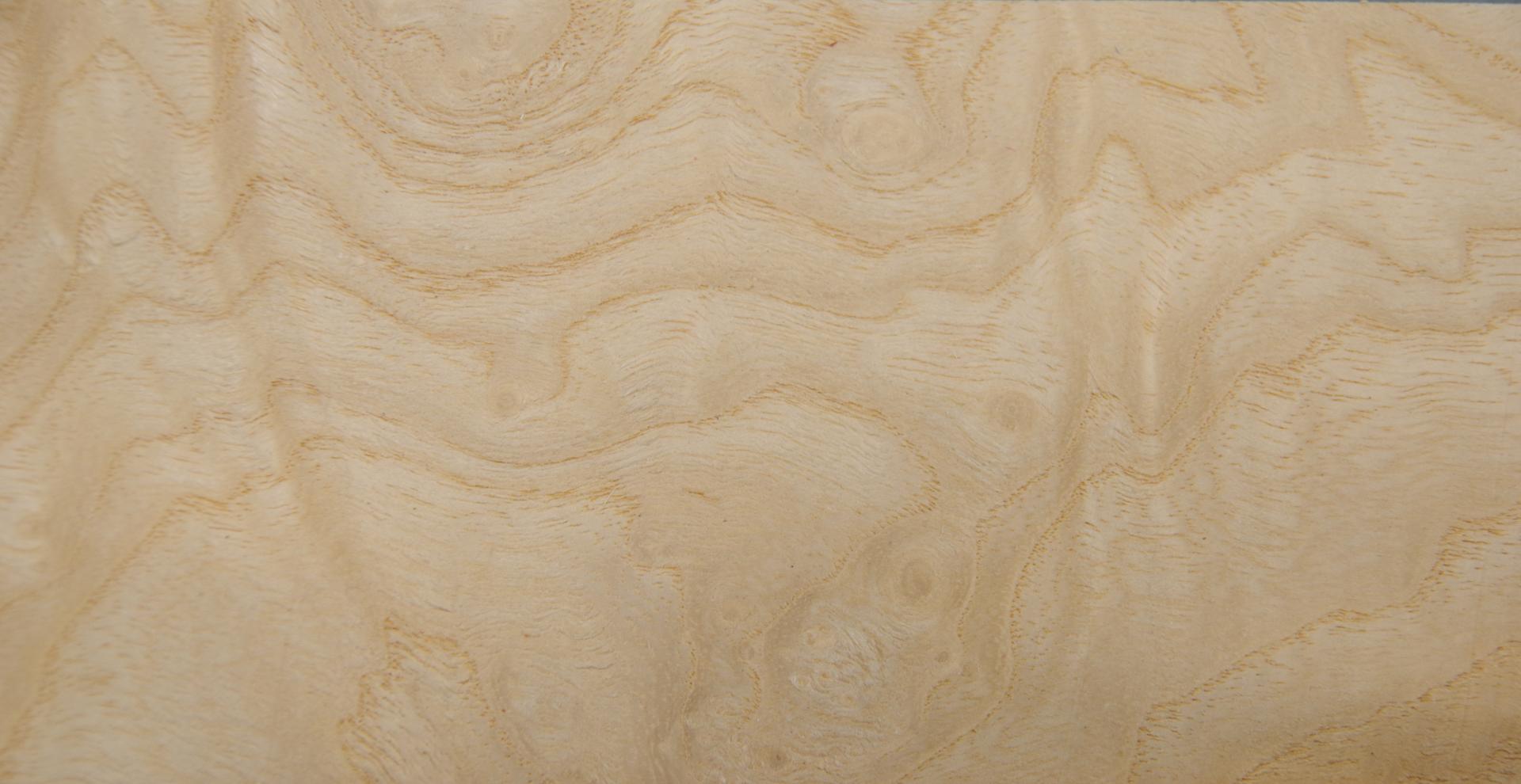 Esche Maser, weiß -Furnier (0,6mm) - 0,15m² (15Stk. x 14cm x 7cm)