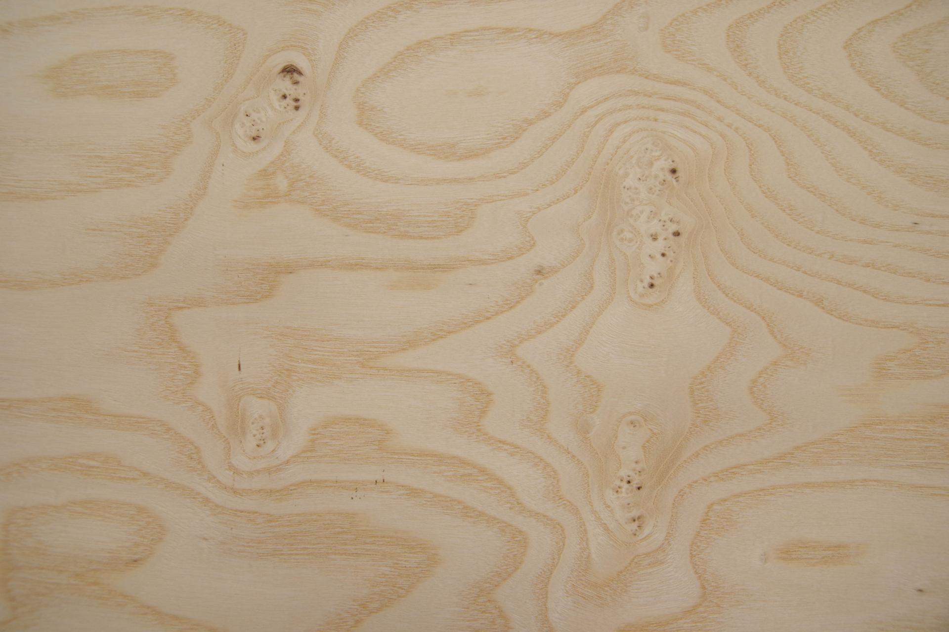 Esche Maser, weiß -Furnier (0,6mm) - 0,95m² (5Stk. x 68cm x 28cm)