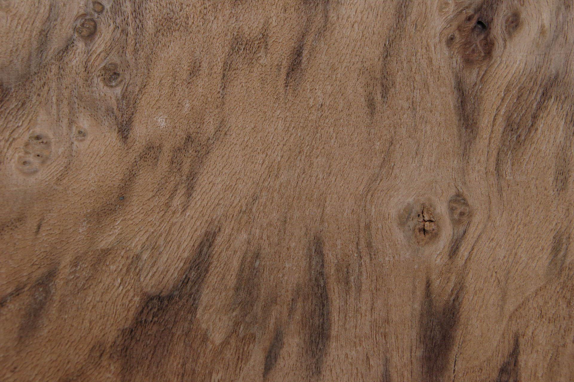Californian Walnut Burl, - veneer (1,4mm) - 0,49m² (13pcs. x 19cm x 20cm)