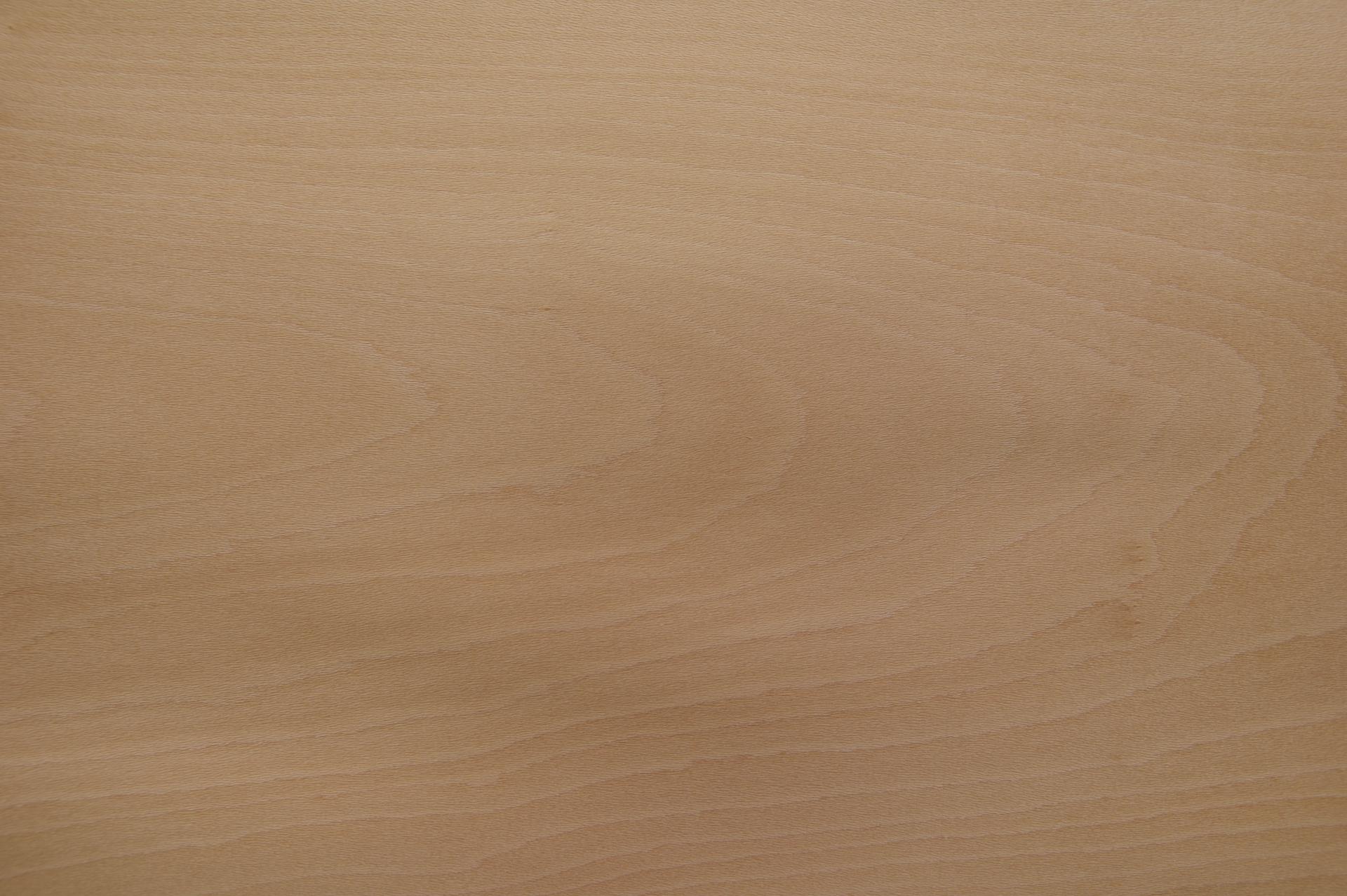 0.6mm Platane Furnier 2.69m² M 16 41 41