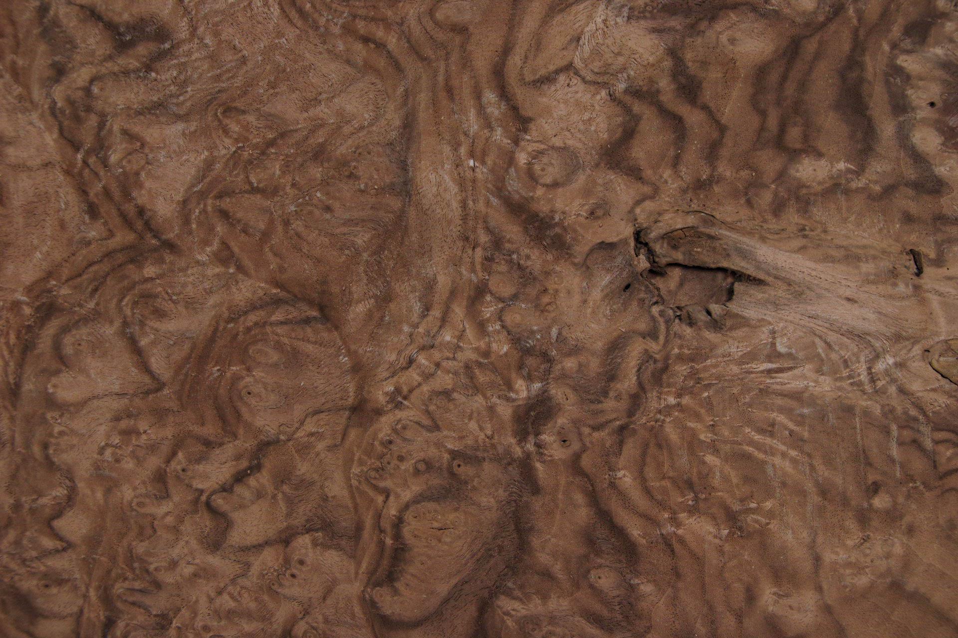 Californian Walnut Burl, - veneer (1,4mm) - 0,94m² (8pcs. x 38cm x 31cm)