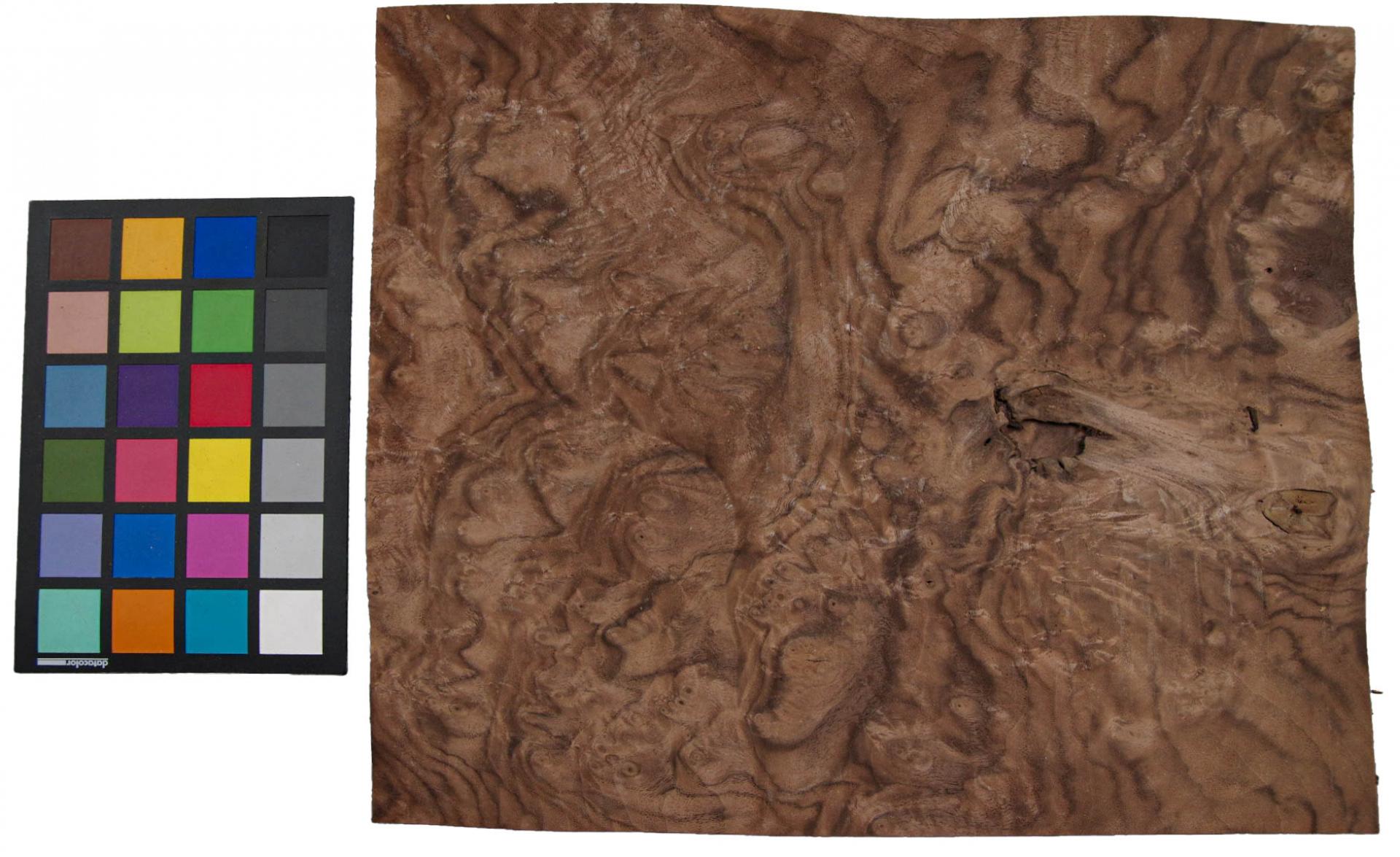 Californian Walnut Burl, - veneer (1,4mm) - 0,94m² (8pcs. x 38cm x 31cm)