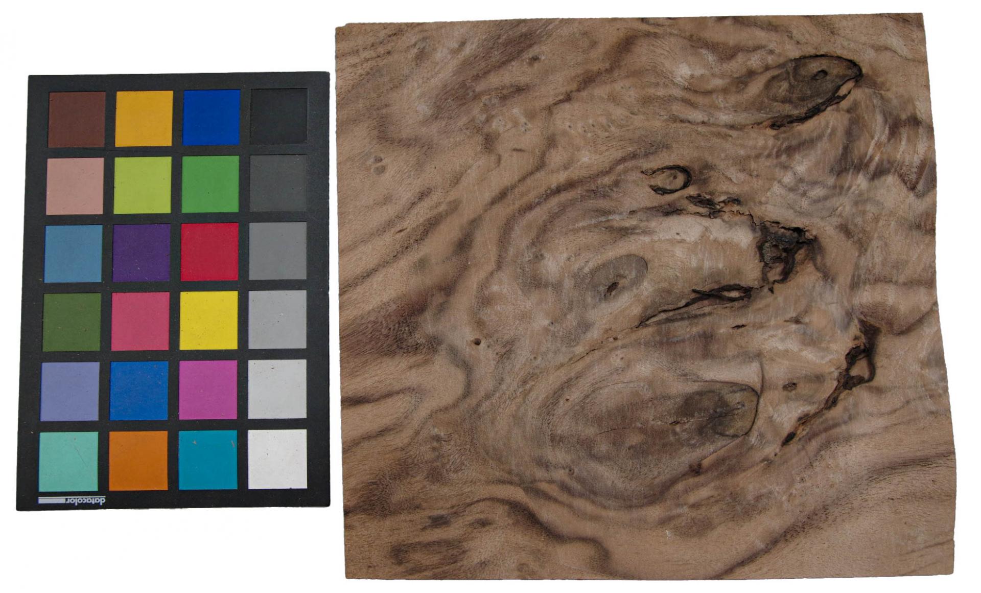 American Black Walnut, - veneer (1,4mm) - 0,44m² (7pcs. x 26cm x 24cm)