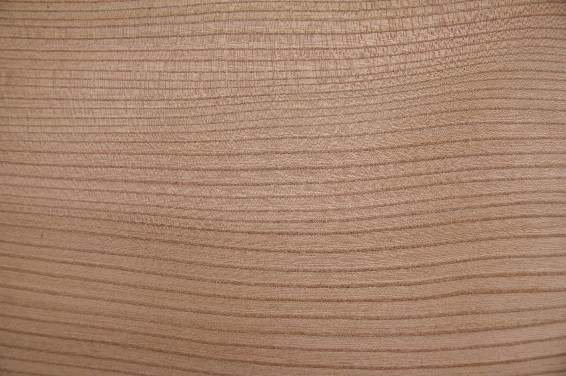Rüster (Ulme) -Furnier (0,6mm) - 2,19m² (22Stk. x 51cm x 19,5cm)