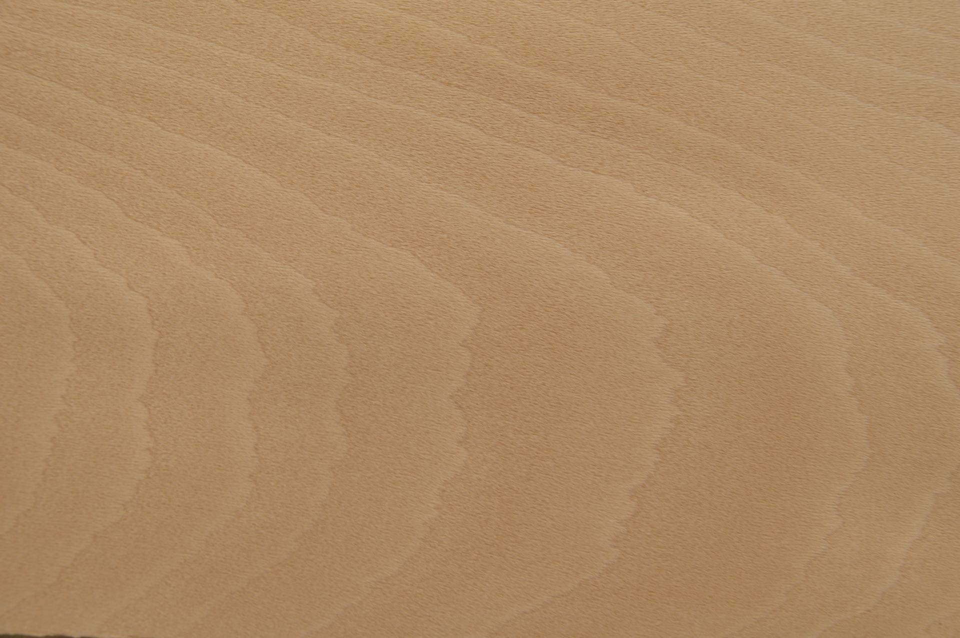 0.6mm Platane Furnier 1m² N 19 35 15