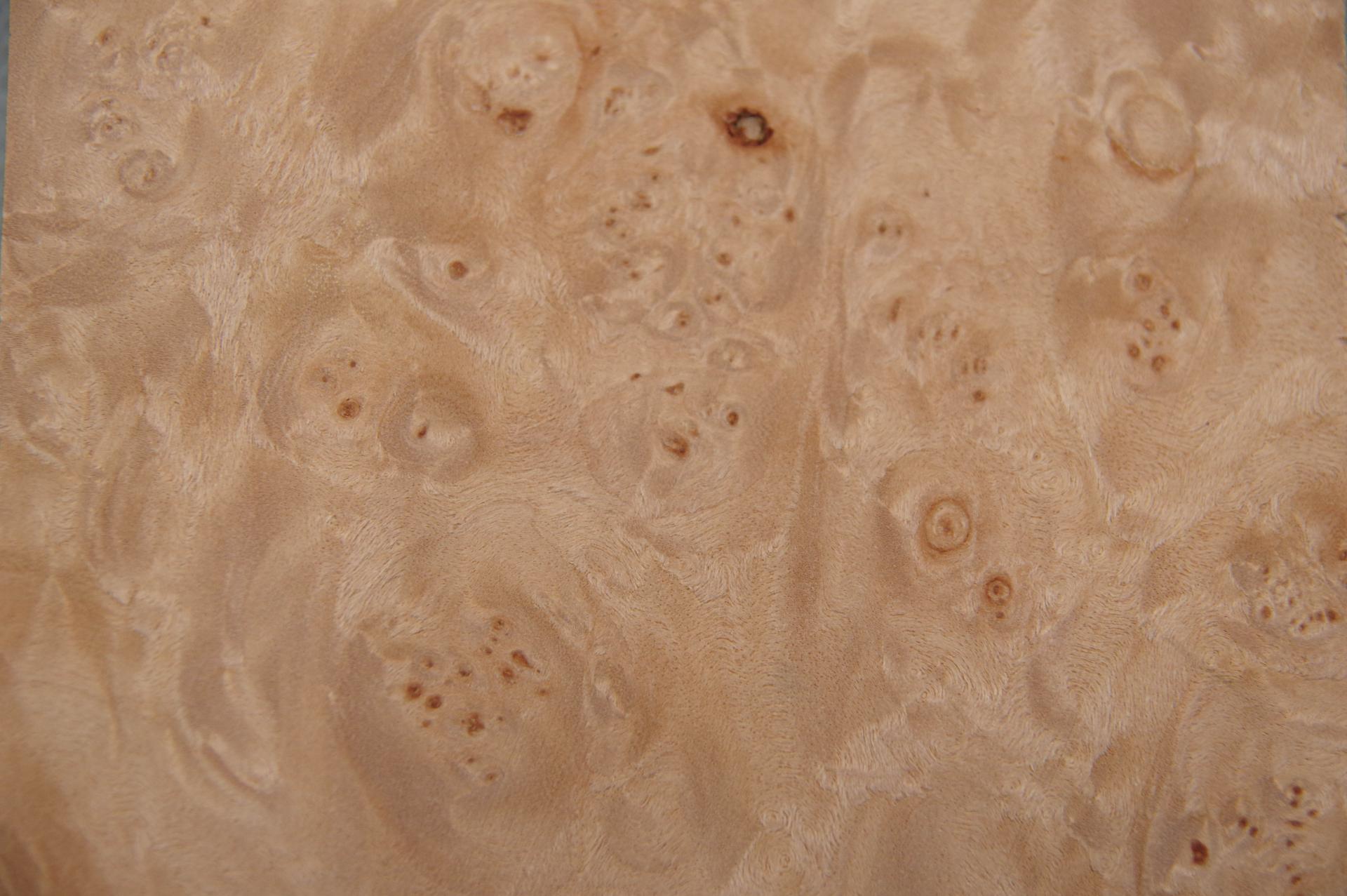 Ahorn Maser (gedämpft) -Furnier (0,6mm) - 0,32m² (24Stk. x 12cm x 11cm)