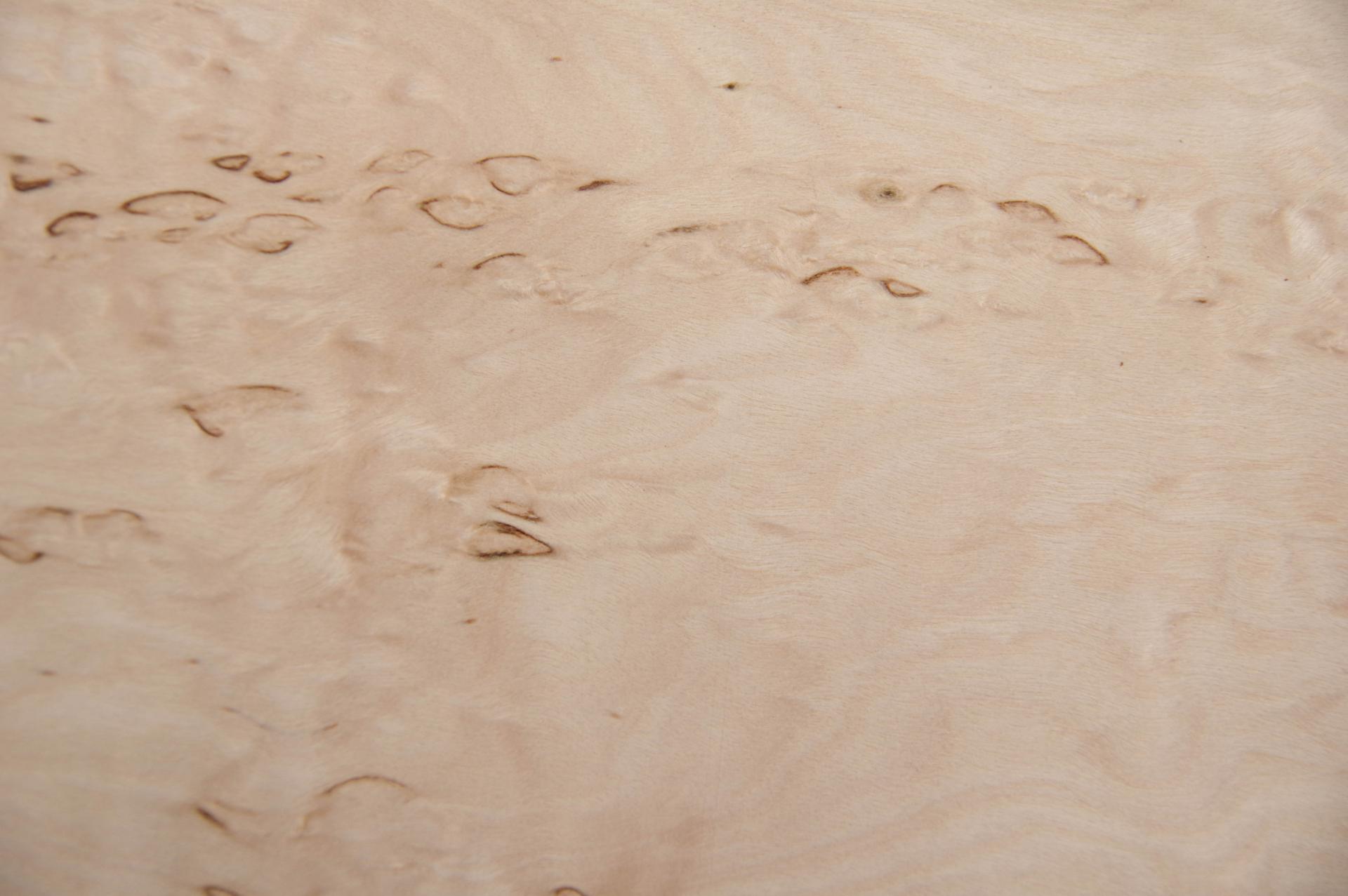Birke Maser -Furnier (0,6mm) - 0,36m² (12Stk. x 27cm x 11cm)