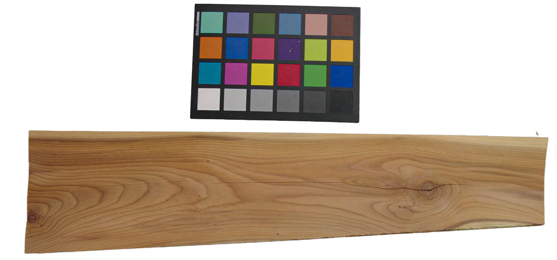 Yewtree, veneer with Colour reference card