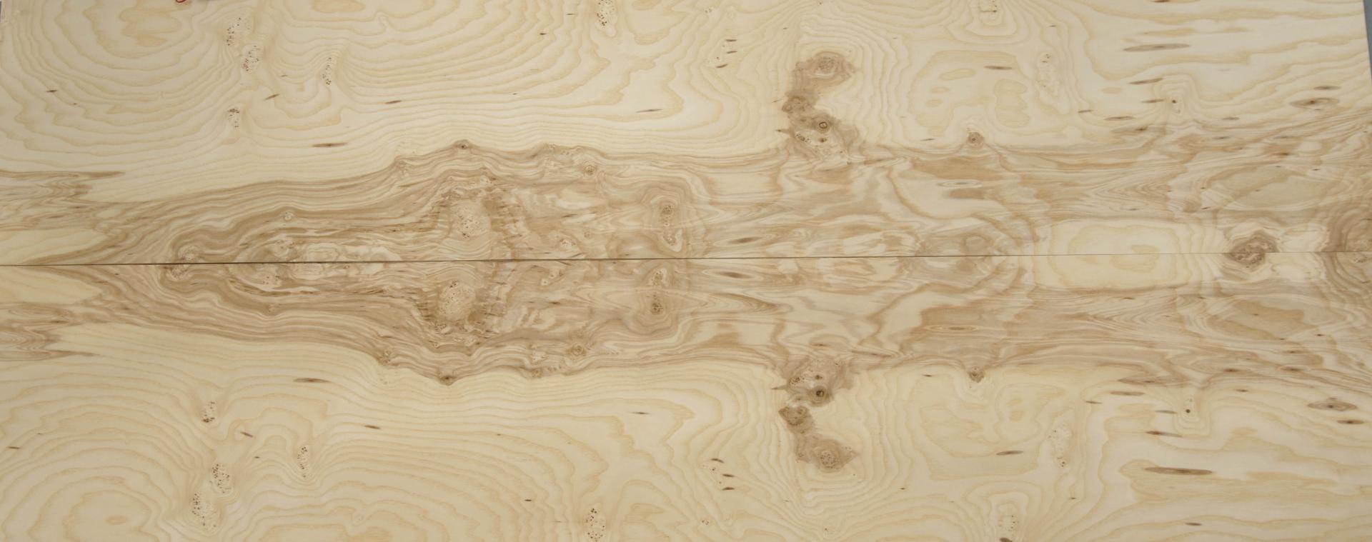 Esche Maser; oliv -Furnier (0,6mm) - 11,01m² (16Stk. x 186cm x 37cm)