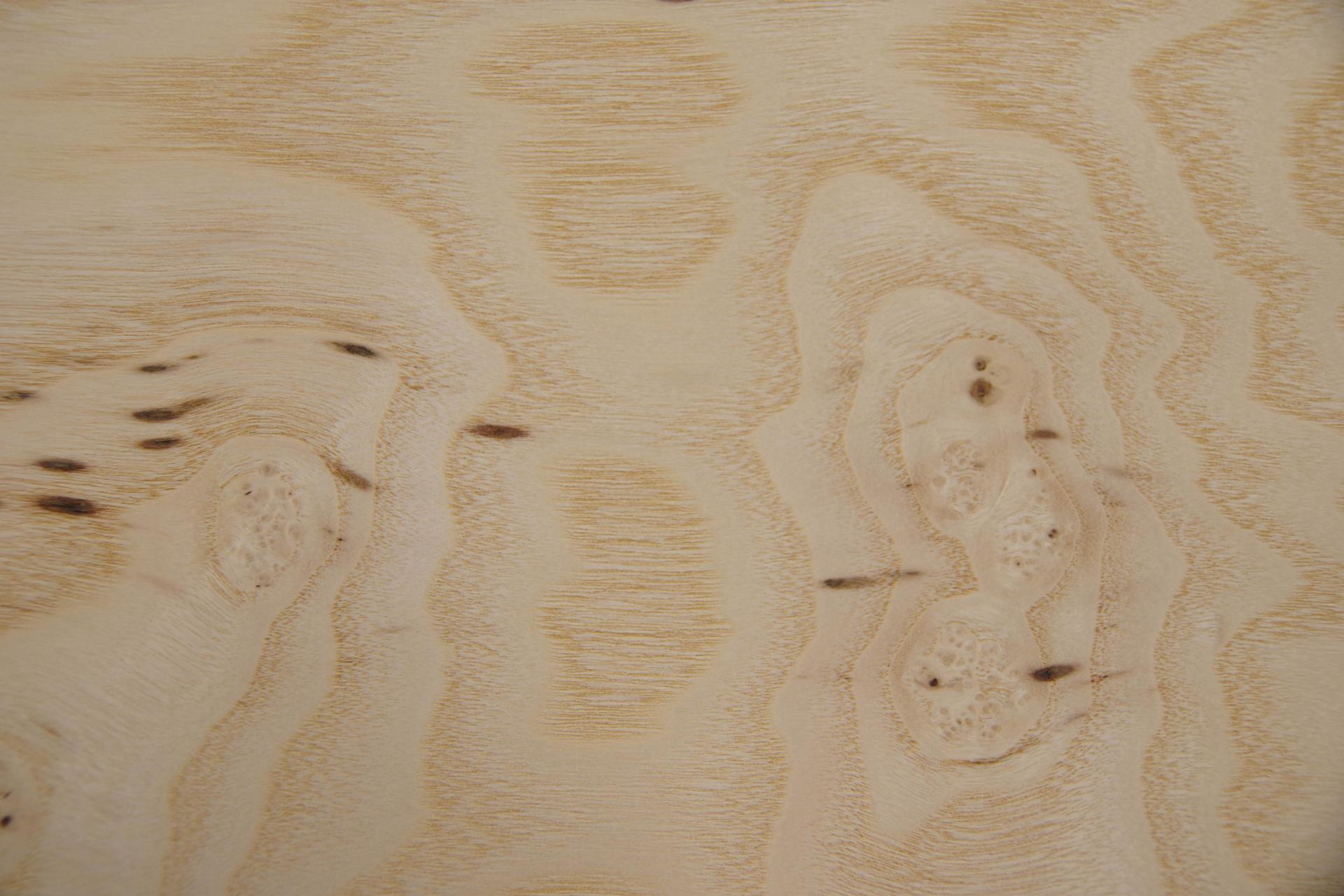 Esche Maser, weiß -Furnier (0,6mm) - 1,69m² (10Stk. x 77cm x 22cm)