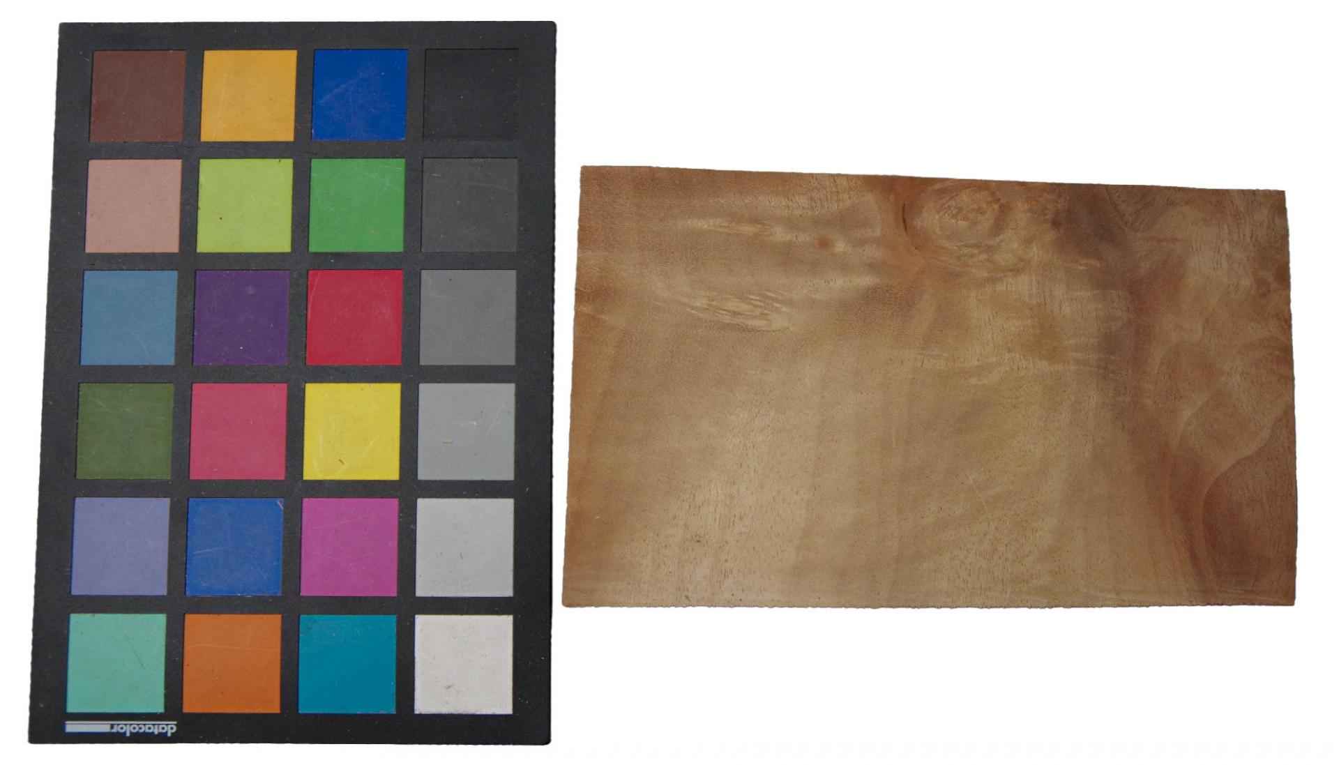 Myrtle Burl; Pepperwood; Laurel, - veneer (0,6mm) - 0,46m² (22pcs. x 11cm x 19cm)