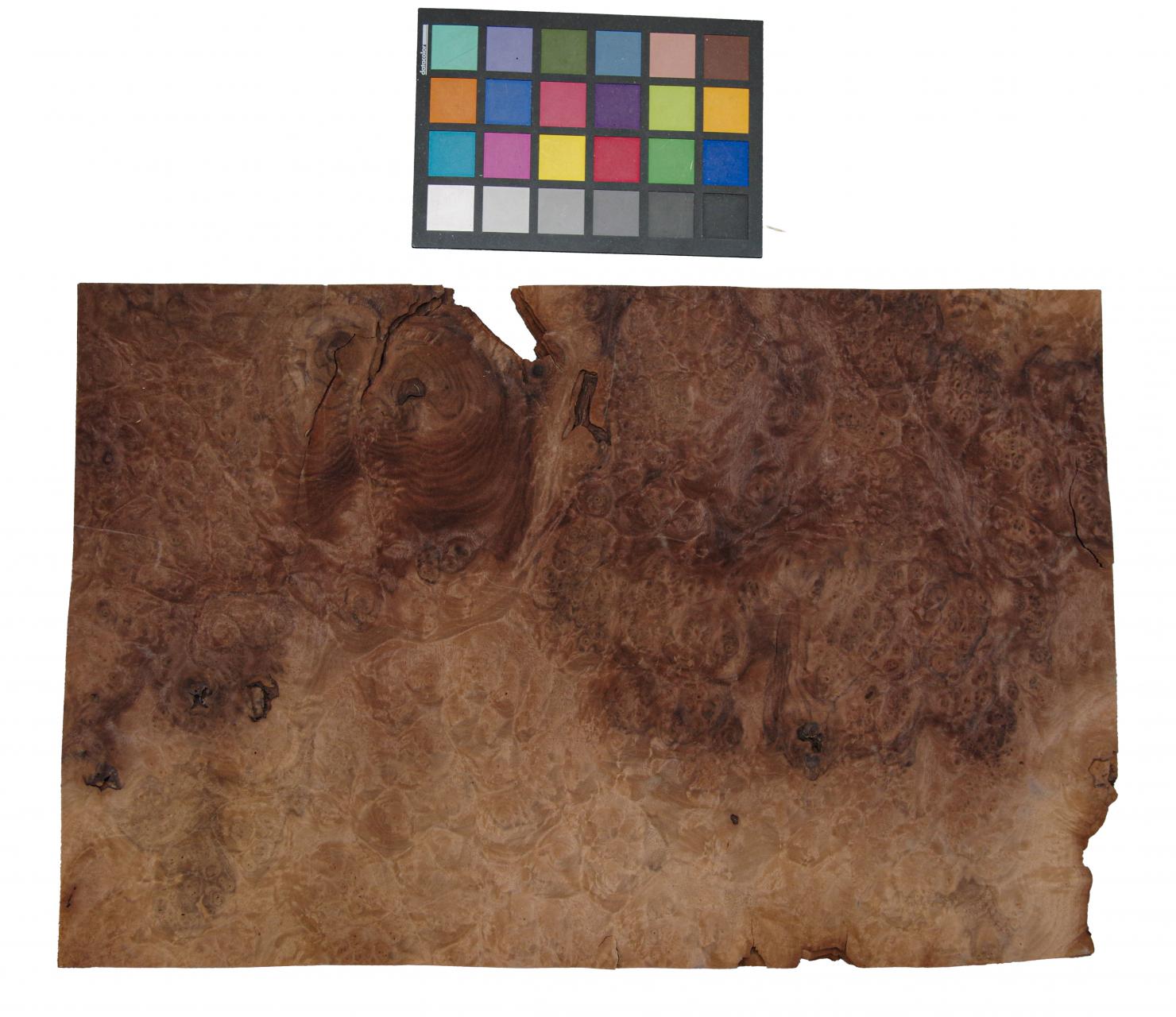Californian Walnut Burl, - veneer (0,6mm) - 2,12m² (11pcs. x 55cm x 35cm)
