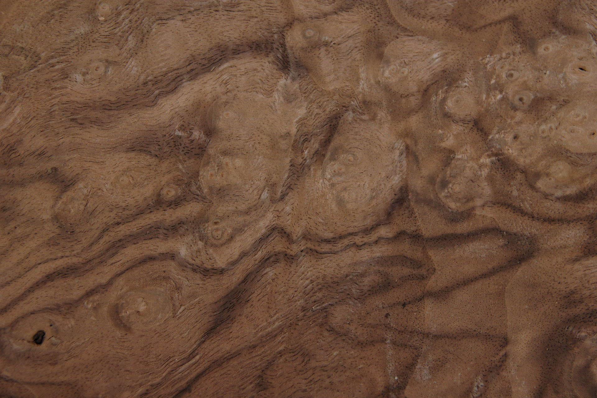 Californian Walnut Burl, - veneer (1,8mm) - 0,2m² (7pcs. x 20cm x 14,5cm)
