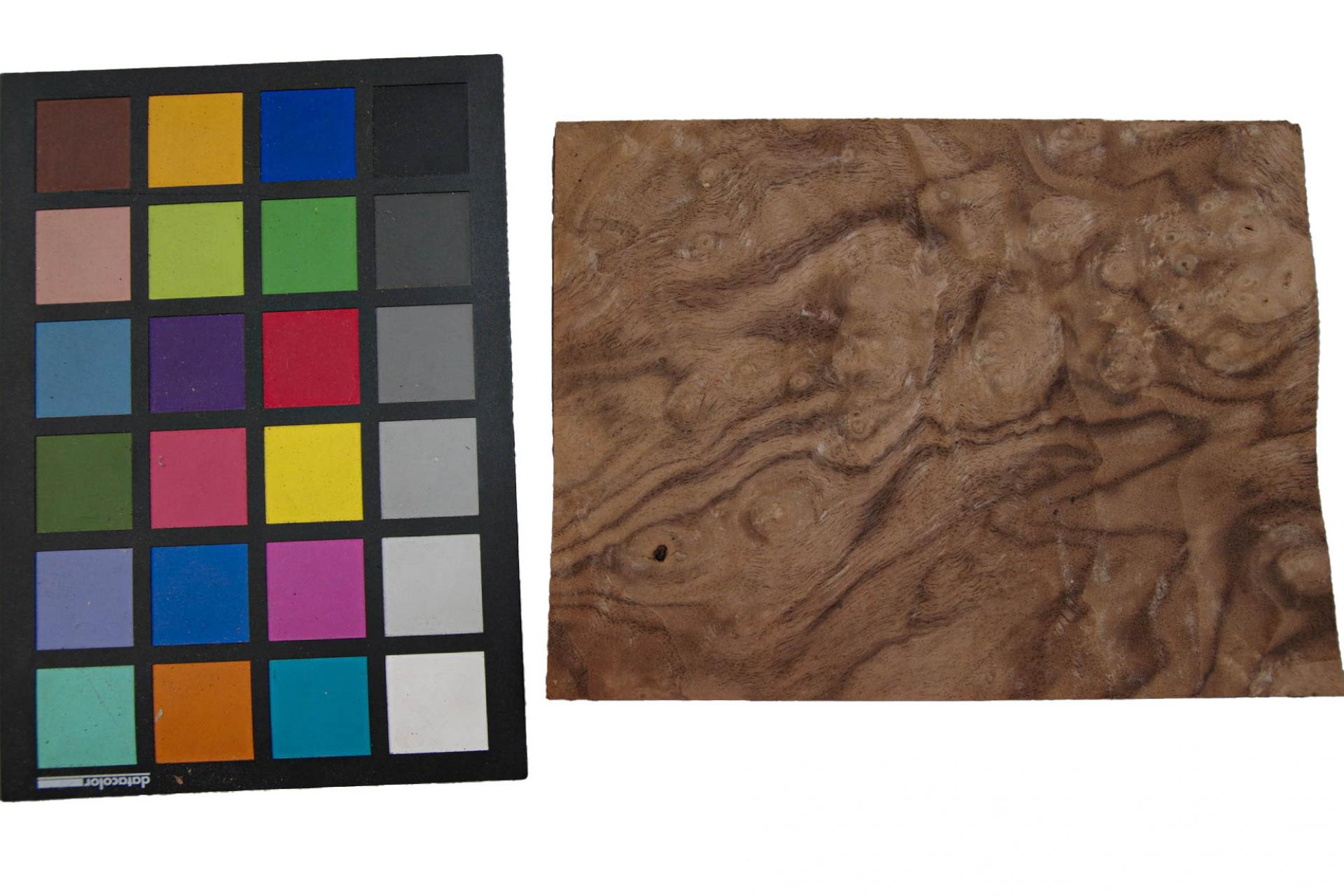 Californian Walnut Burl, - veneer (1,8mm) - 0,2m² (7pcs. x 20cm x 14,5cm)