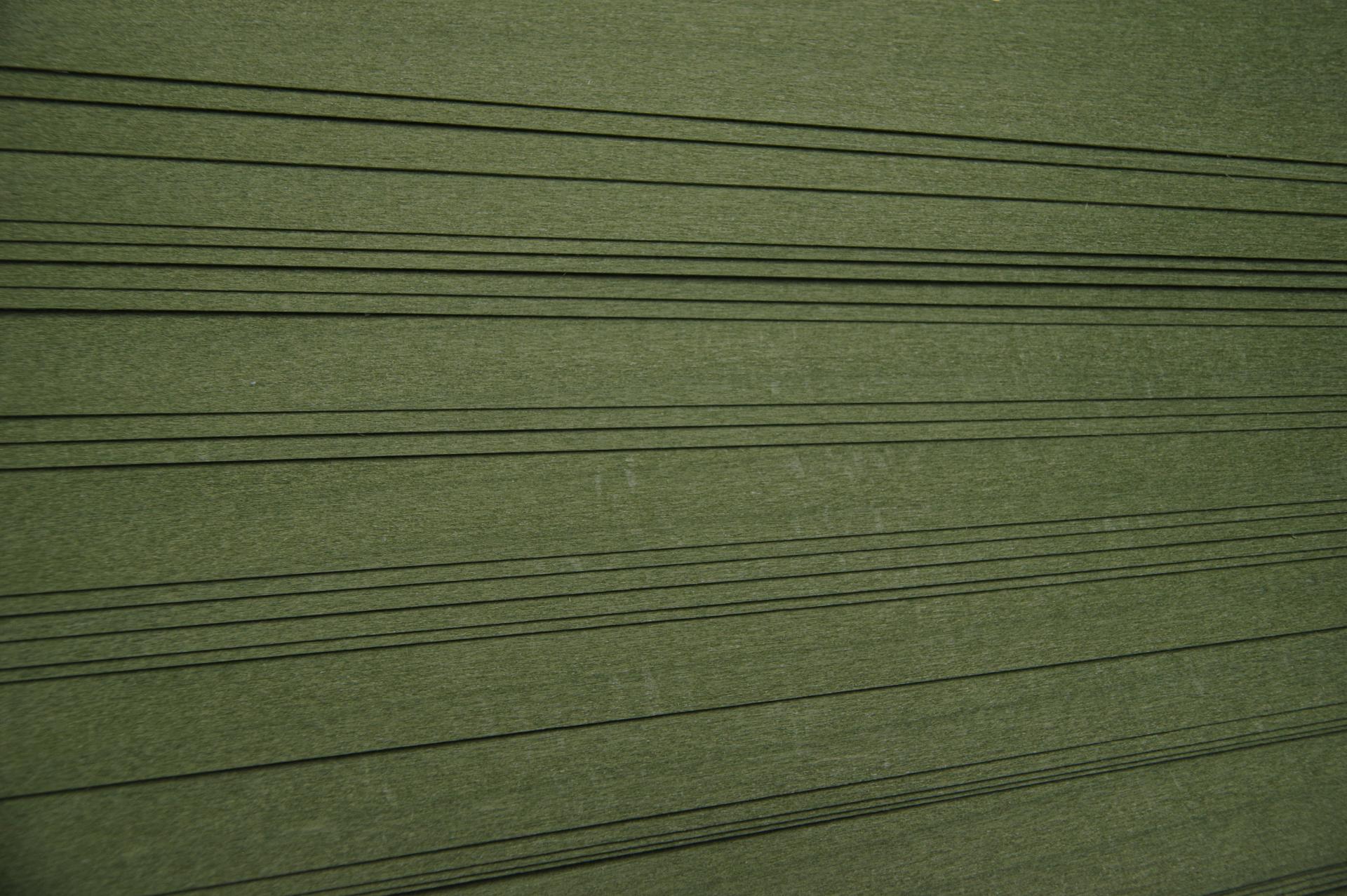 Tulipier, grün gefärbtes -Furnier (0,6mm) - 0,9m² (28Stk. x 64cm x 5cm