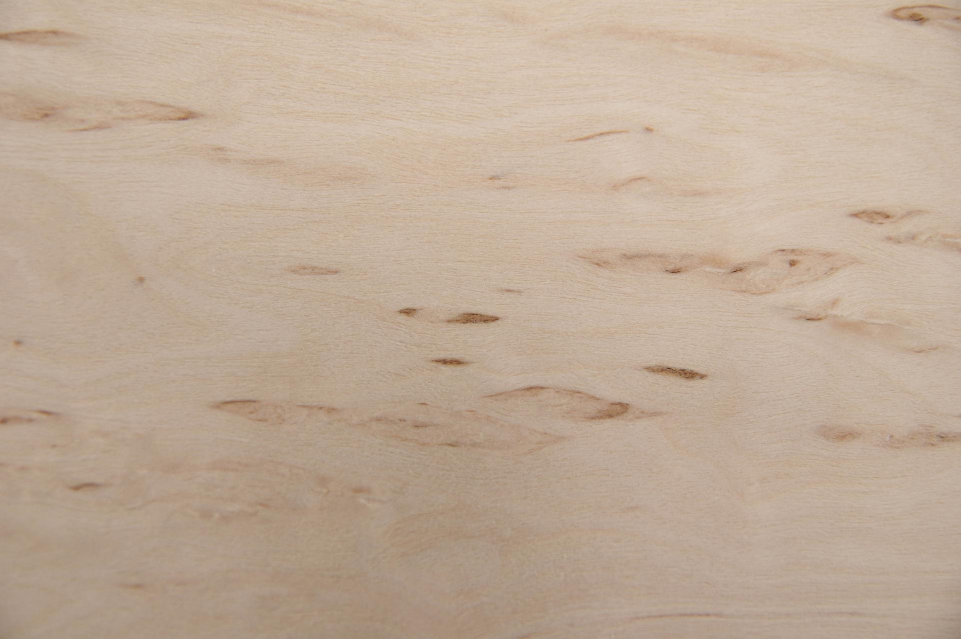 Birke Maser -Furnier (0,6mm) - 0,26m² (11Stk. x 26cm x 9cm)