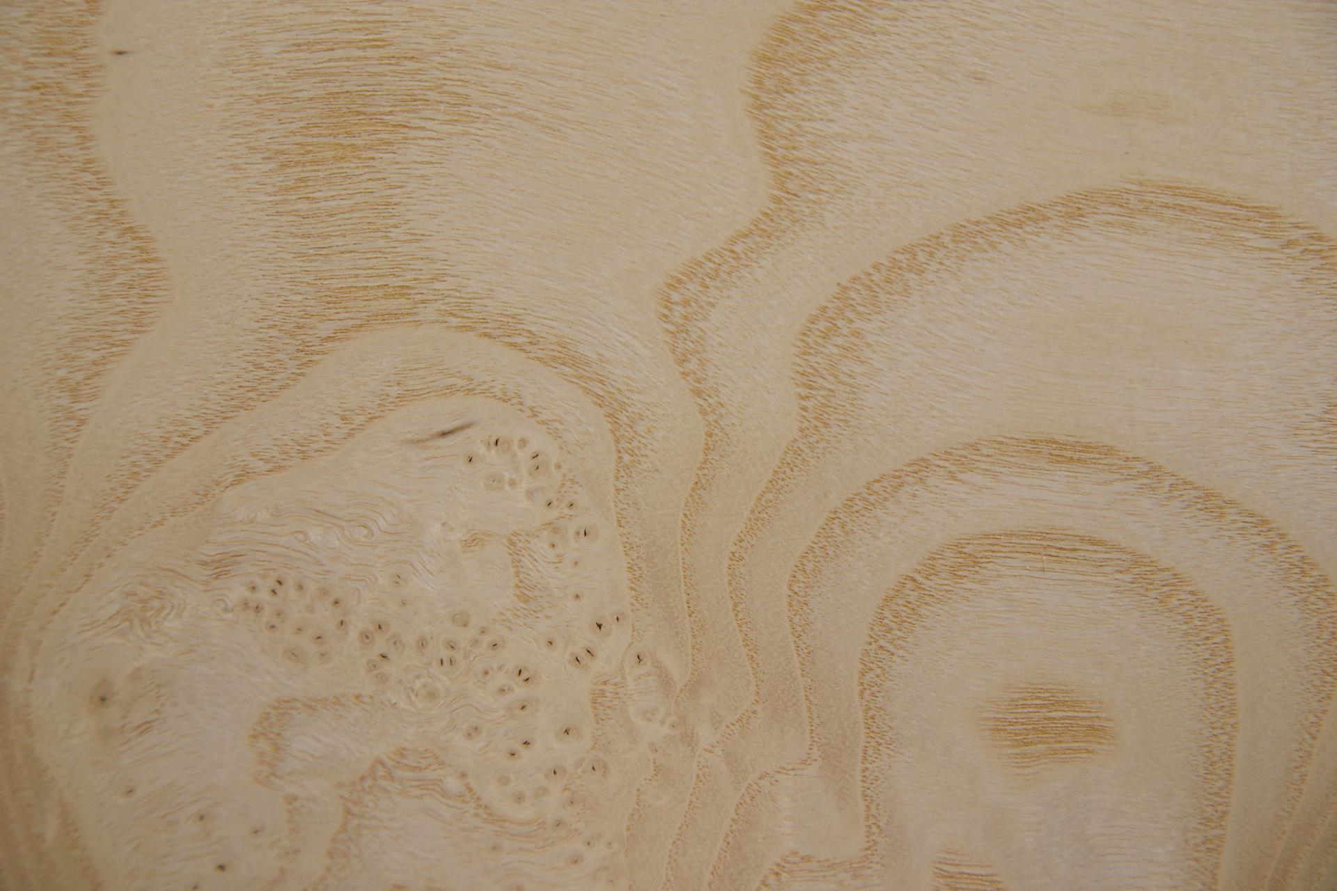 Esche Maser, weiß -Furnier (0,6mm) - 3,74m² (11Stk. x 170cm x 20cm)