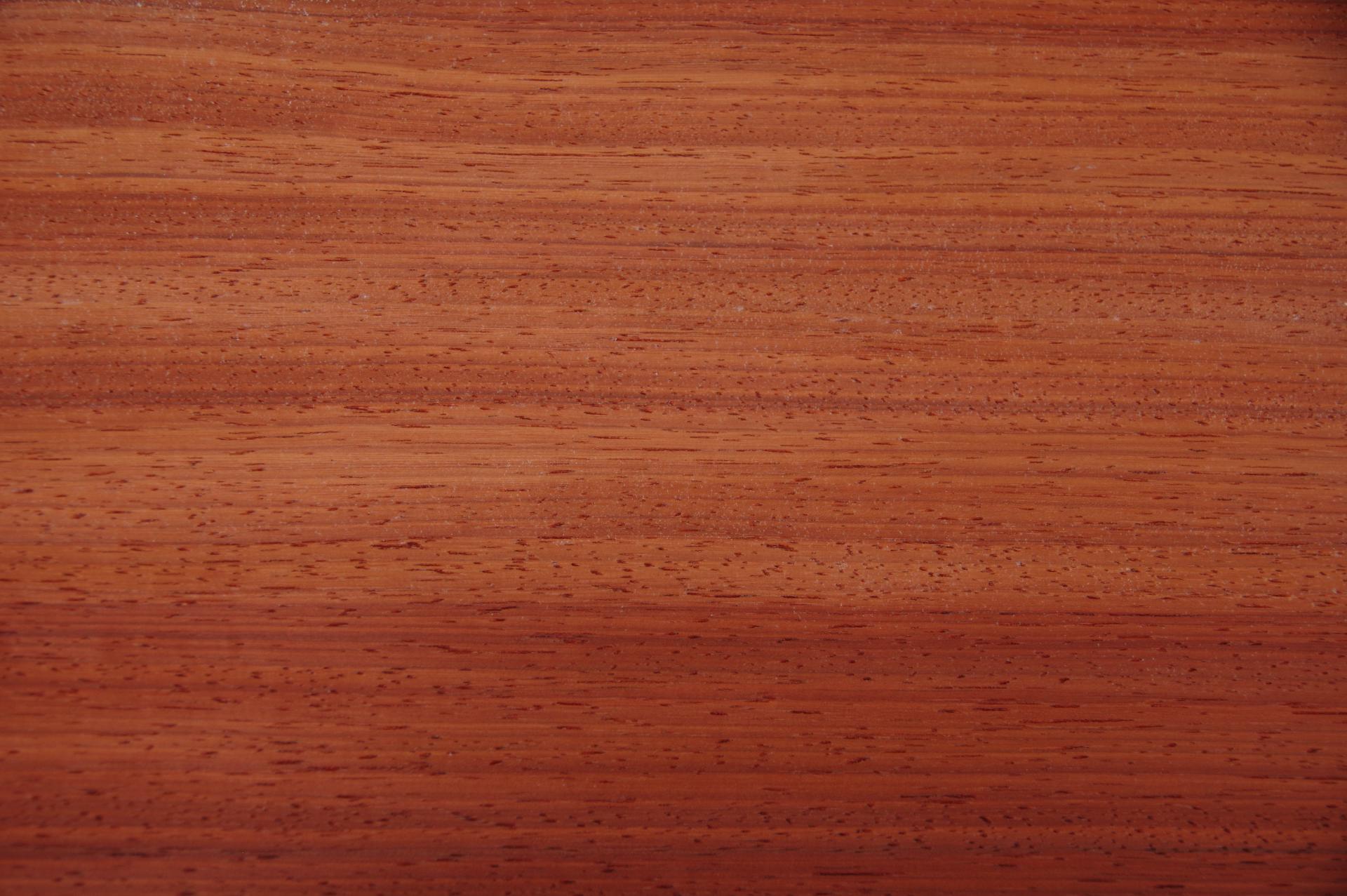Padouk, - veneer (0,6mm) - 2,69m² (23pcs. x 45cm x 26cm)