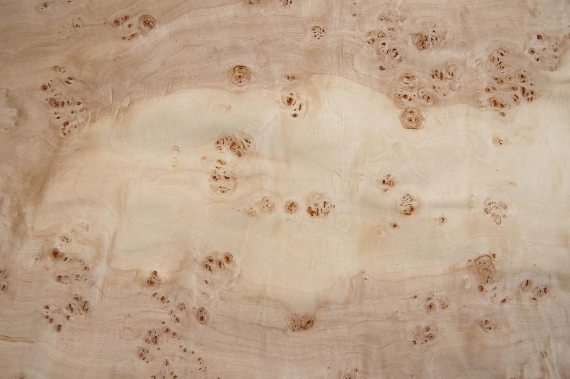 Pappel Maser (Mapa) -Furnier (0,6mm) - 17,16m² (24Stk. x 130cm x 55cm)