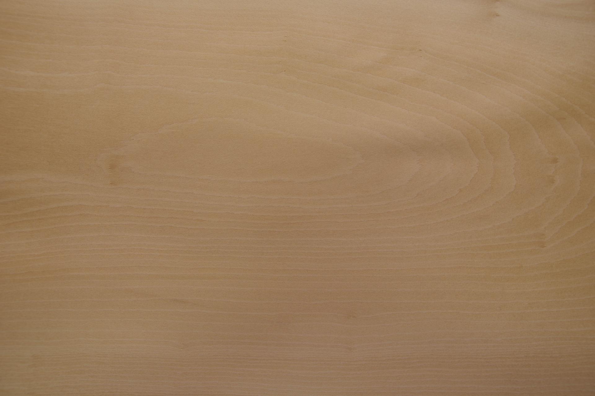 0.6mm Platane Furnier 2.23m² Q 8 68 41