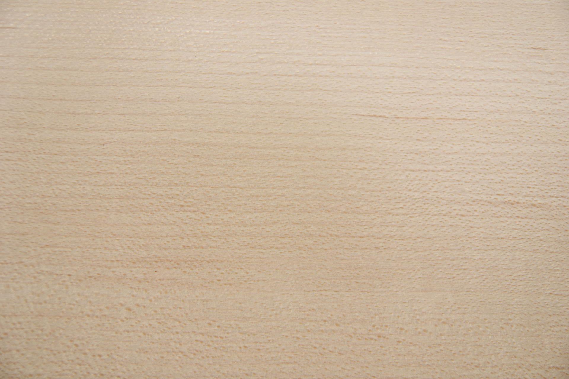Ahorn, amerikanischer (Hard Maple) Furnier