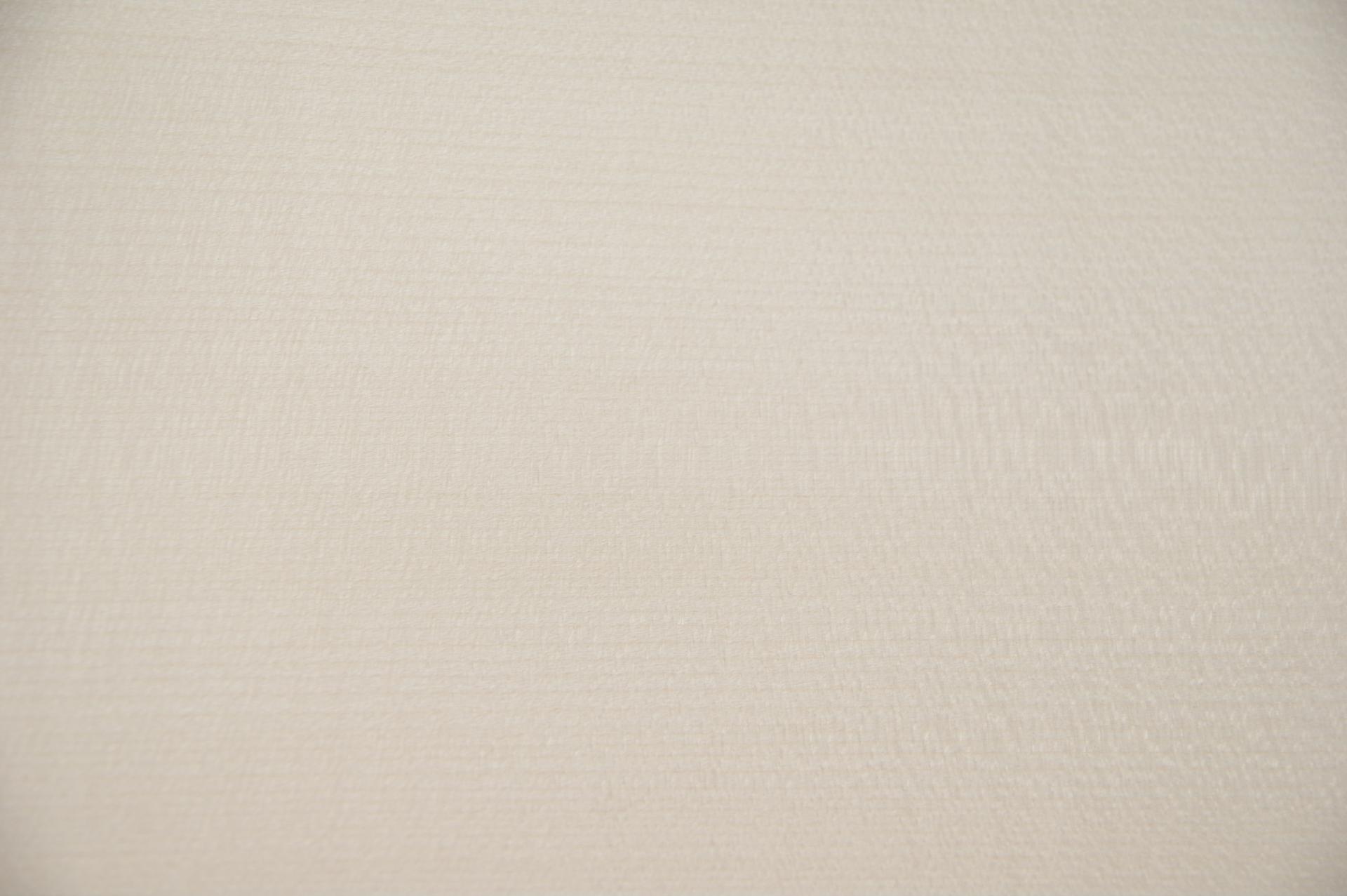 Sycamore, - veneer (0,6mm) - 2,6m² (16pcs. x 116cm x 14cm)