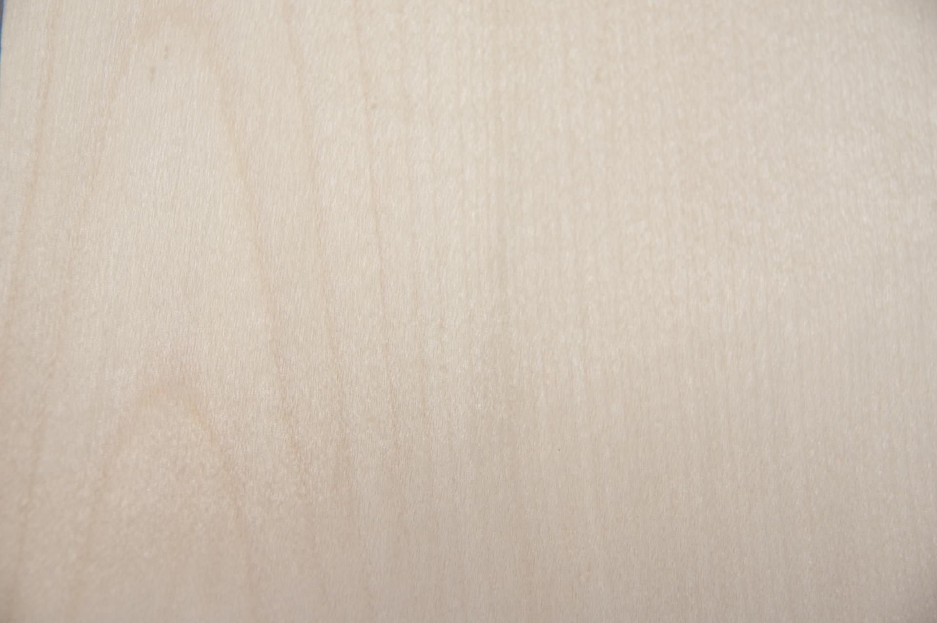 Ahorn, europäischer -Furnier (0,6mm) - 0,4m² (28Stk. x 9cm x 16cm)