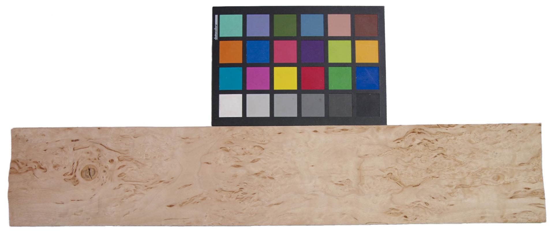 Birke Maser Furnier mit Farbreferenz-Karte