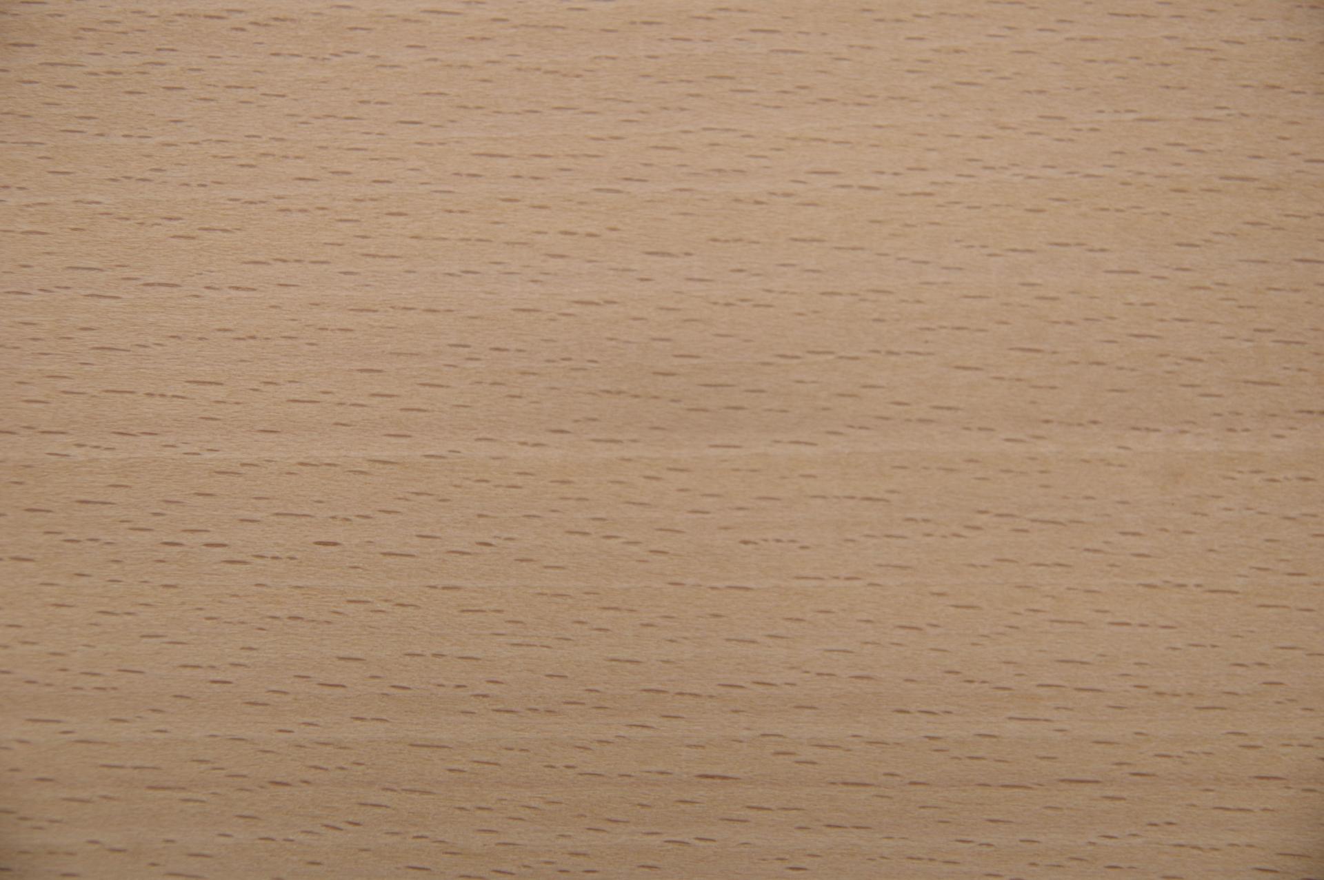 Beech, - veneer (0,6mm) - 2,88m² (24pcs. x 109cm x 11cm)