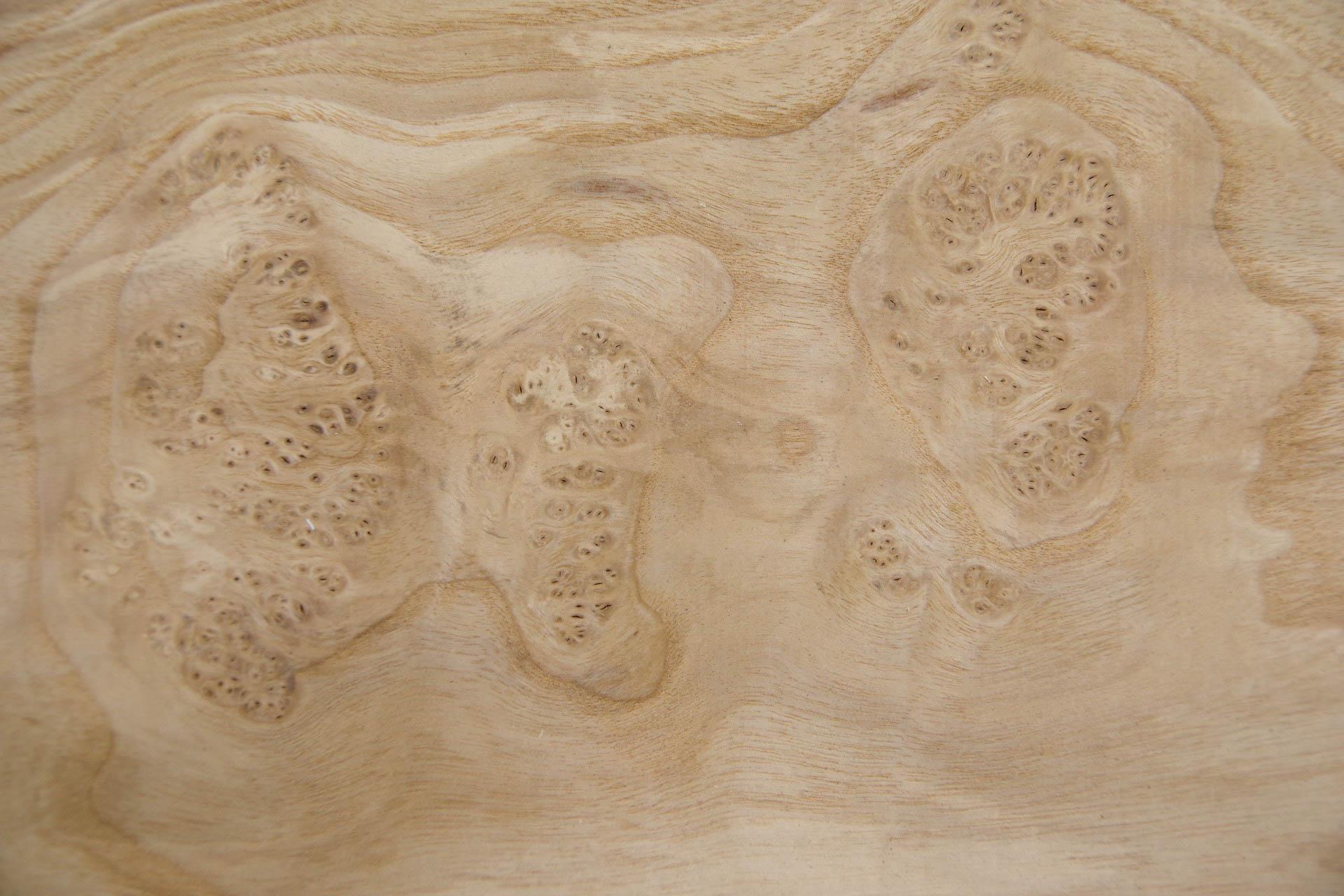 Esche Maser; oliv -Furnier (0,6mm) - 8,87m² (16Stk. x 118cm x 47cm)