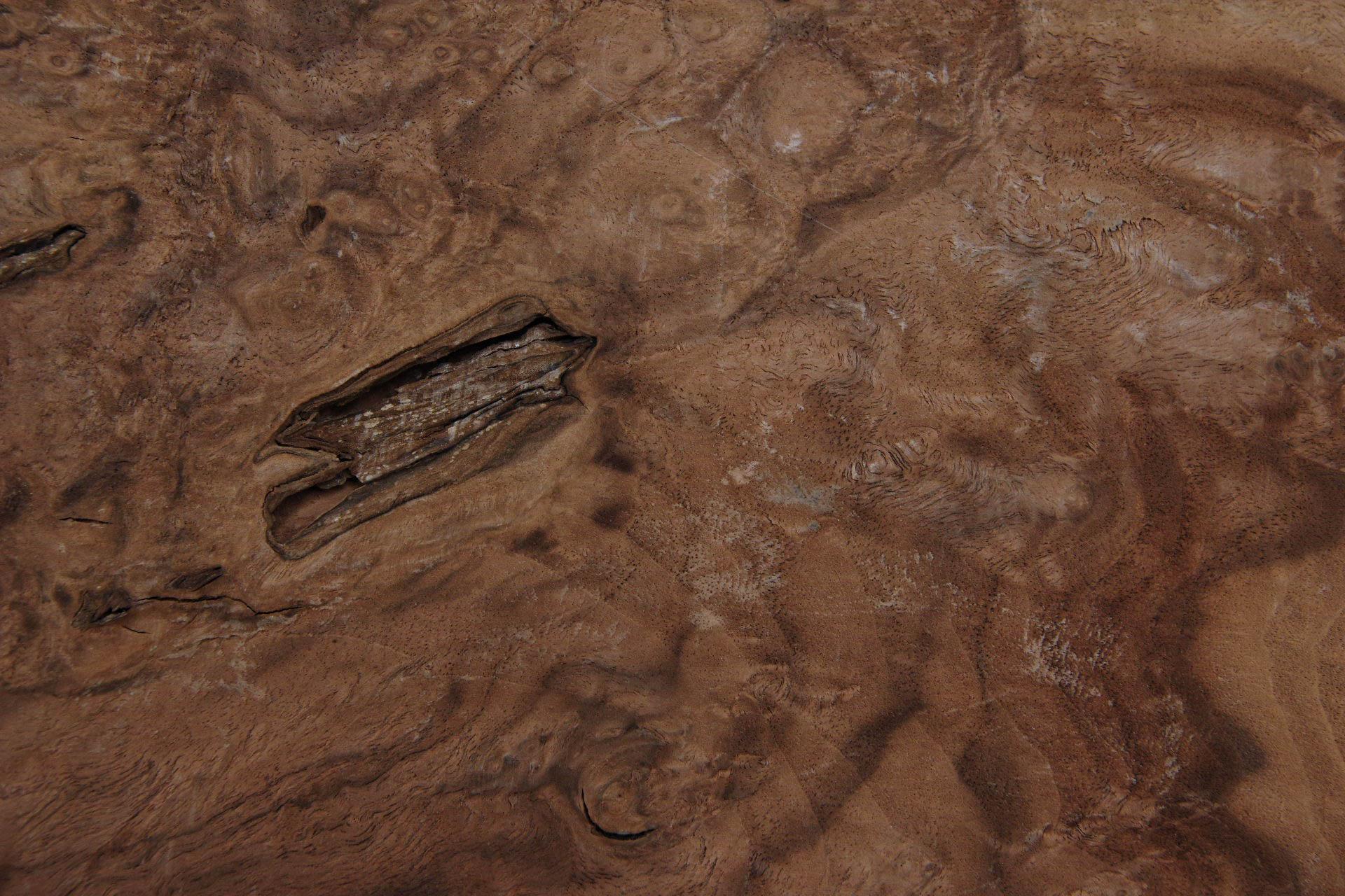 Californian Walnut Burl, - veneer (1,8mm) - 0,42m² (8pcs. x 22cm x 24cm)